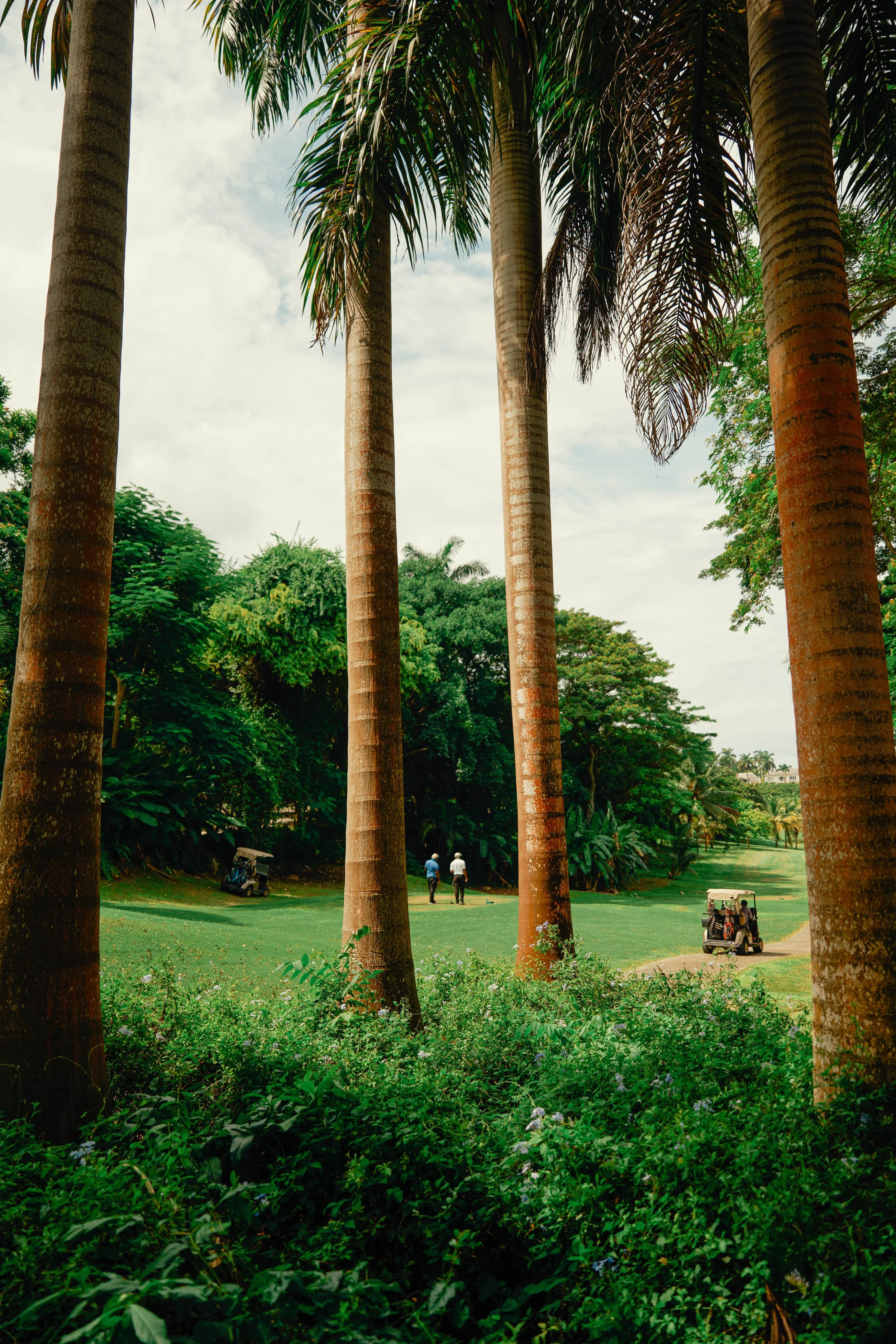 jamaica-12.jpg