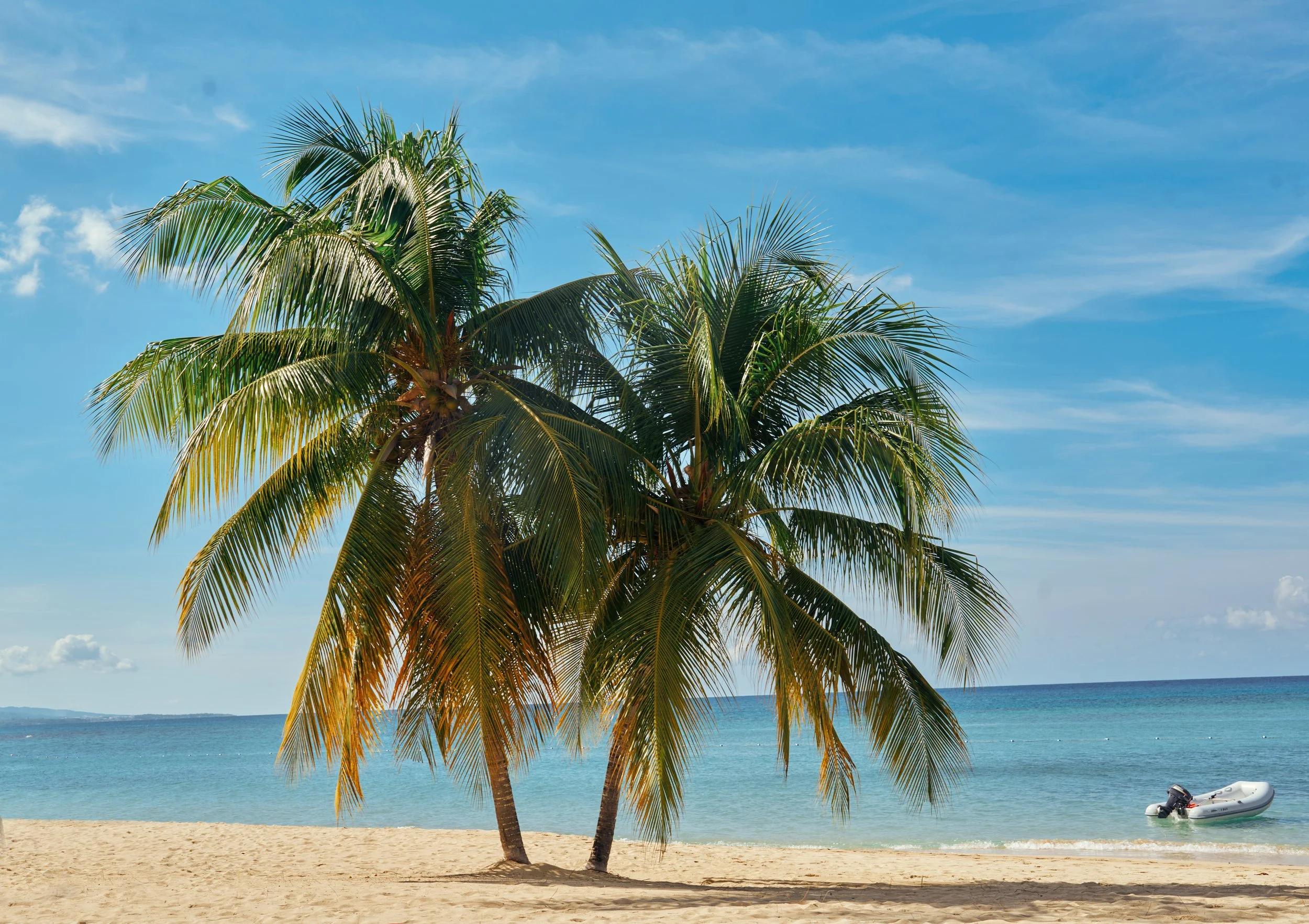 jamaica-18.jpg