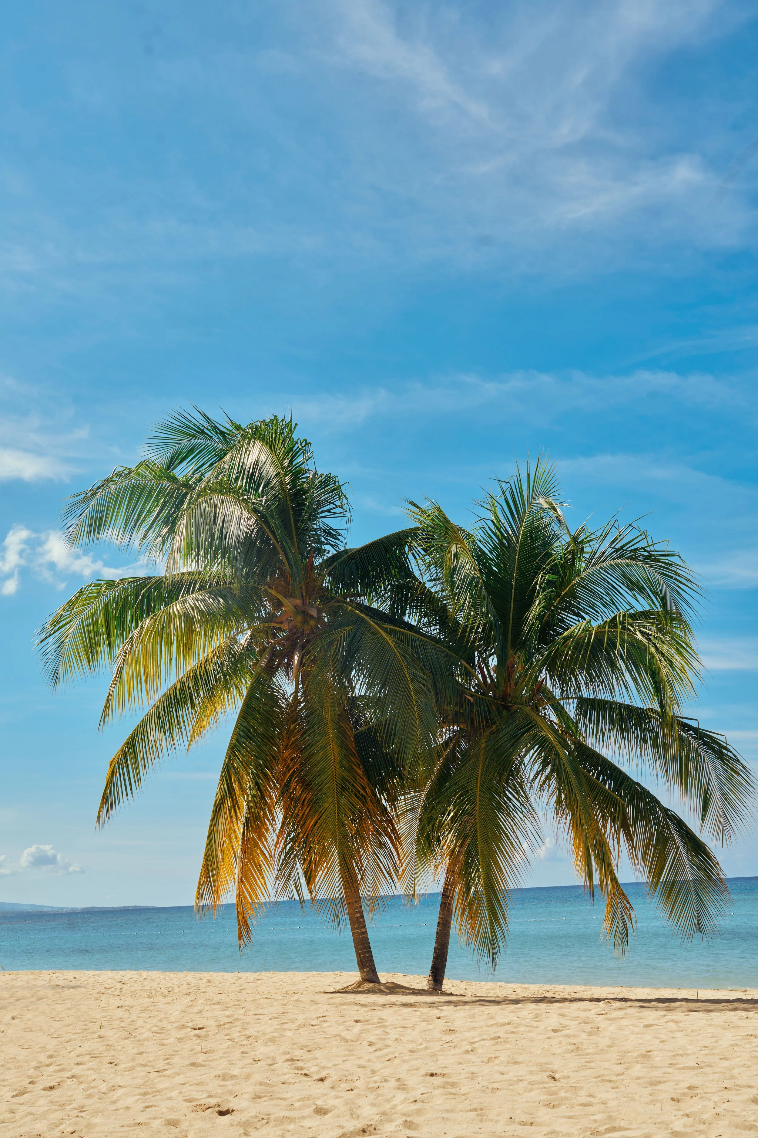 jamaica-19.jpg