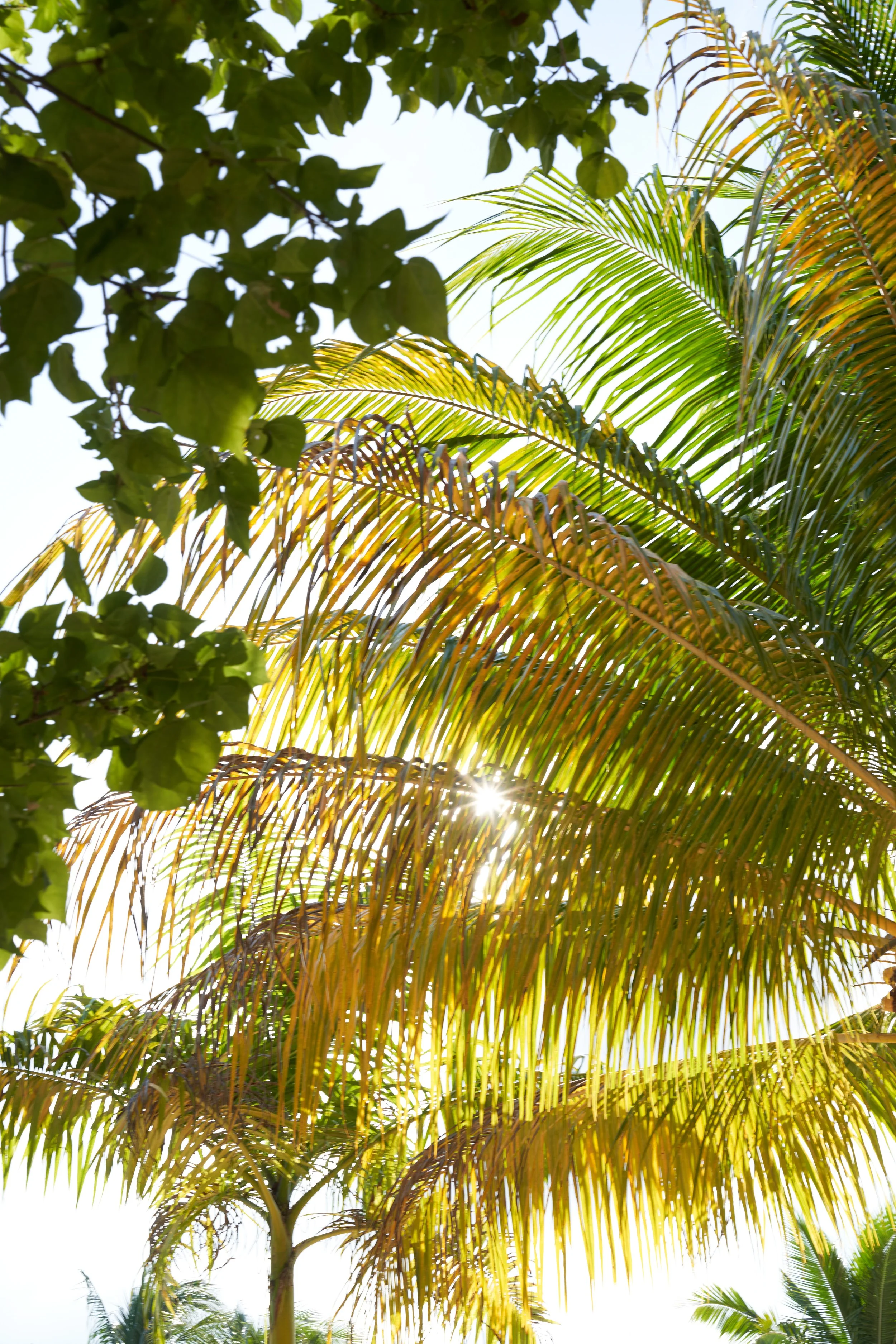 jamaica-21.jpg