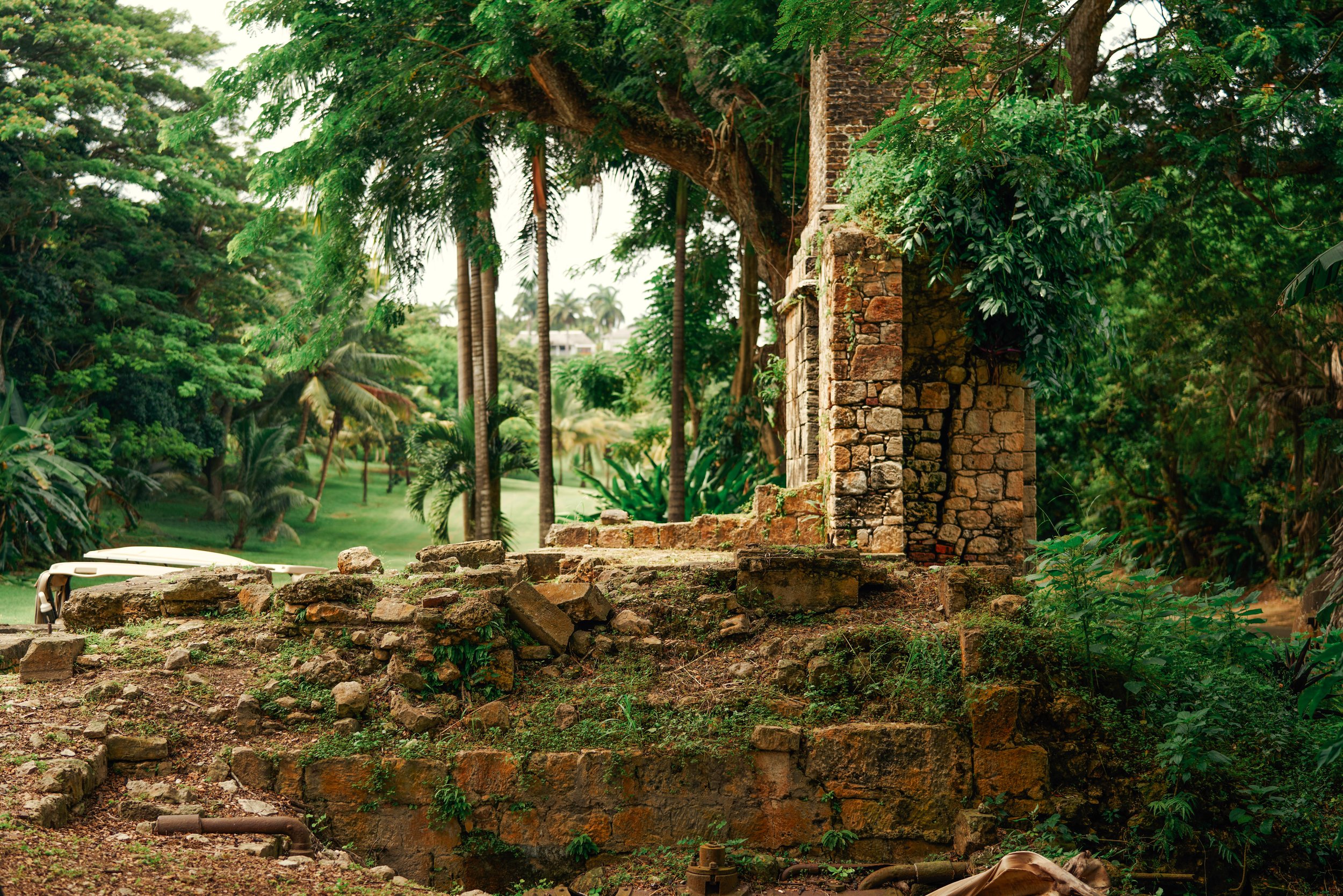 jamaica-45.jpg