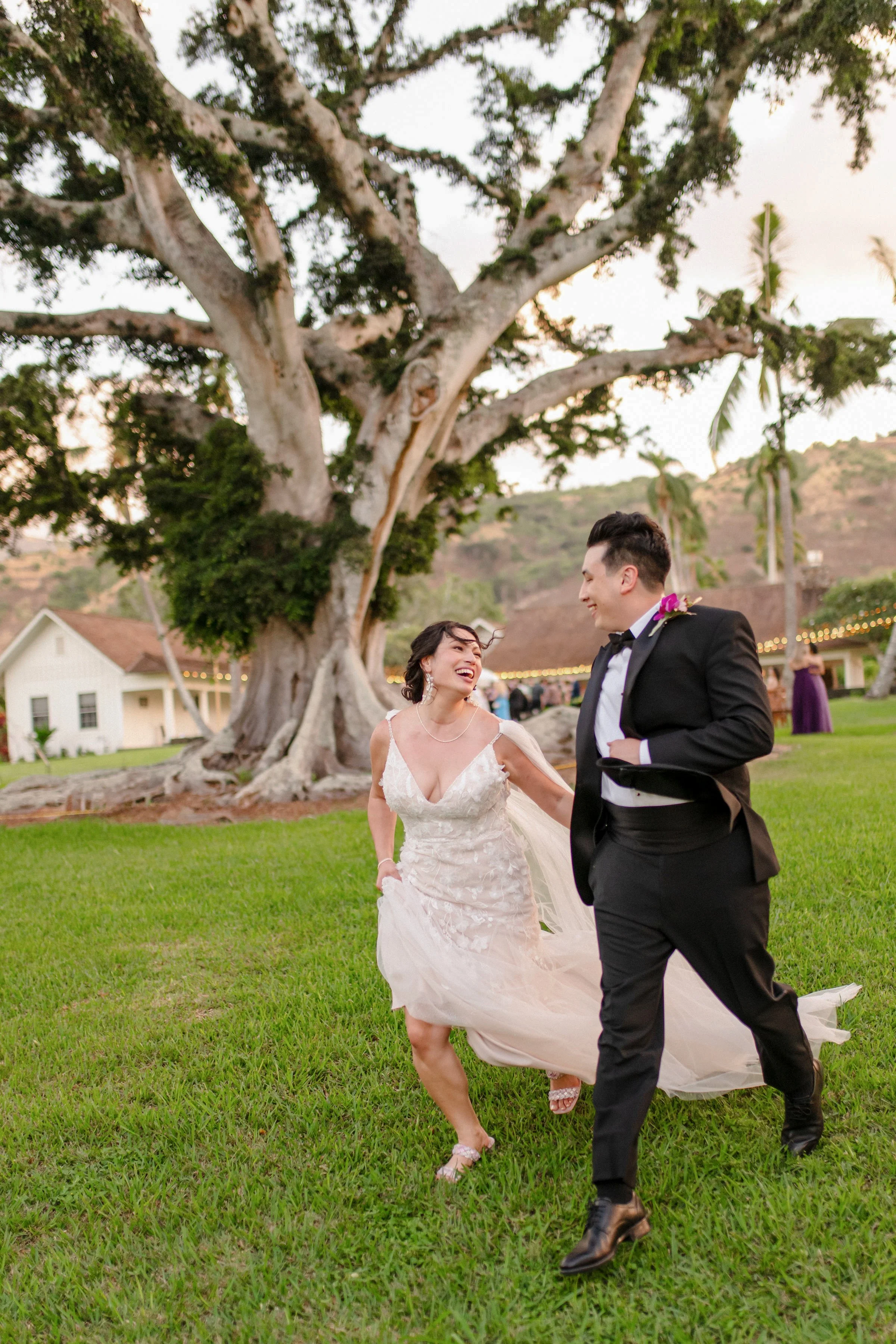 hawaii-dillingham-ranch-wedding-portraits (39).jpg