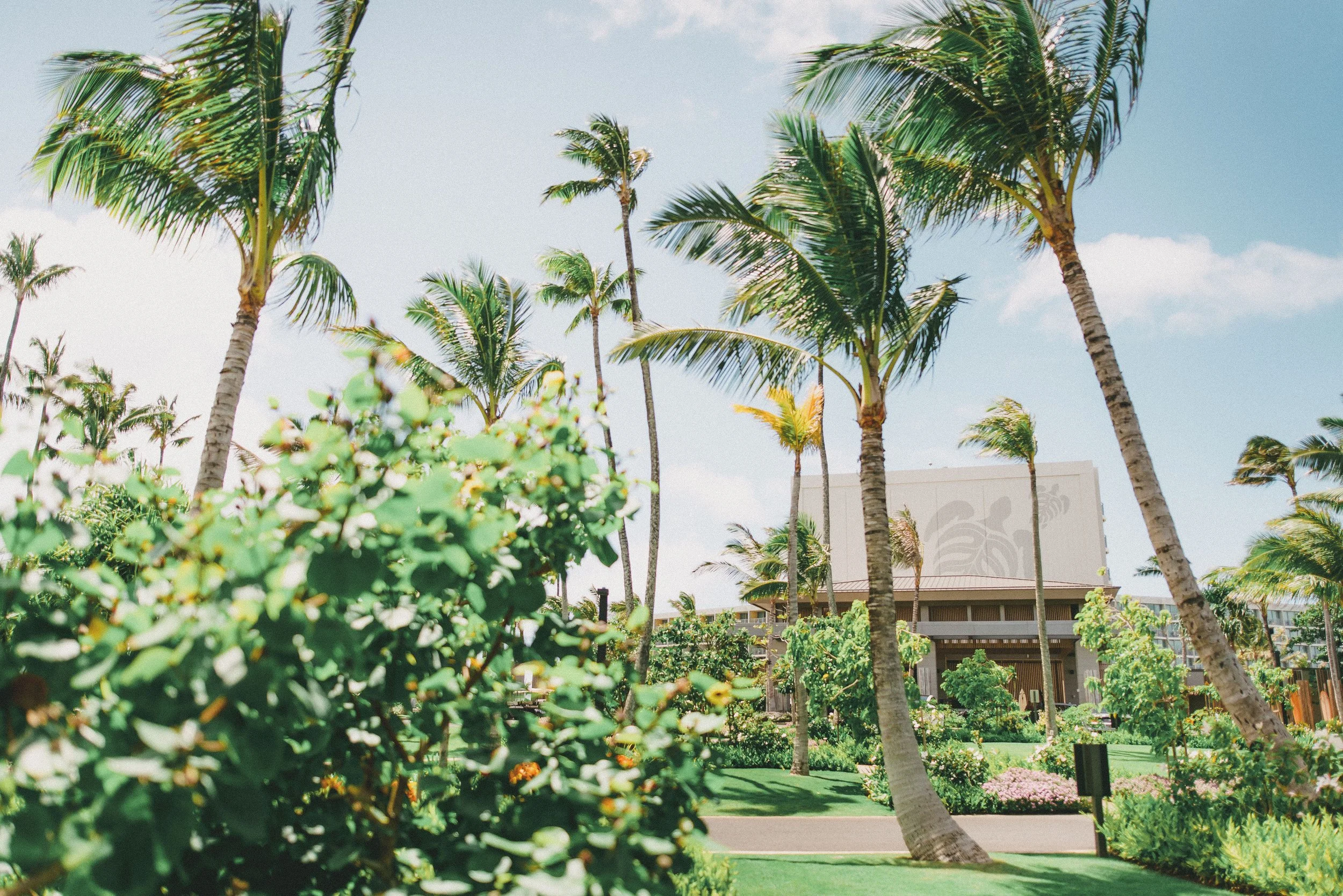 ritz-carlton-turtle-bay-wedding-phototgrapher (1).jpg
