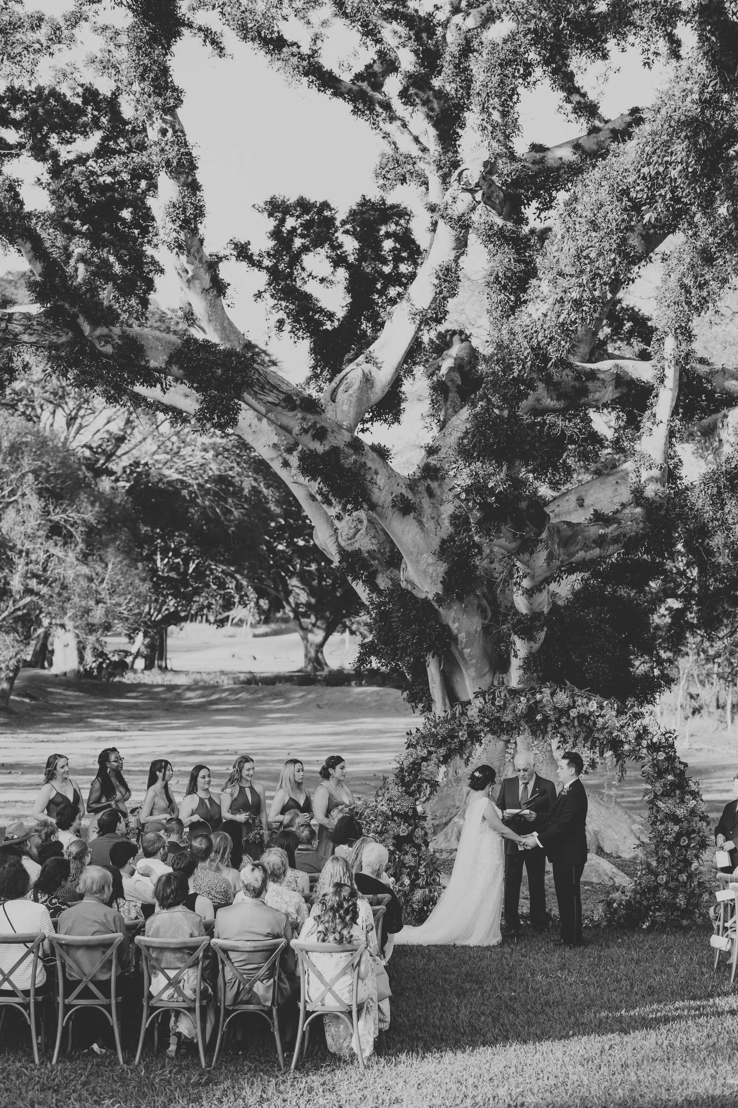 rustic-dillingham-ranch-wedding-ceremony (92).jpg