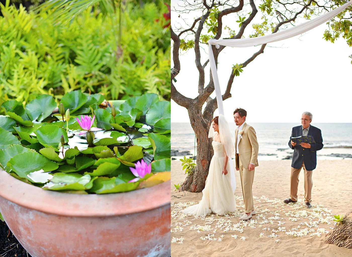 Big-Island-Hawaii-wedding-photo-(50).jpg