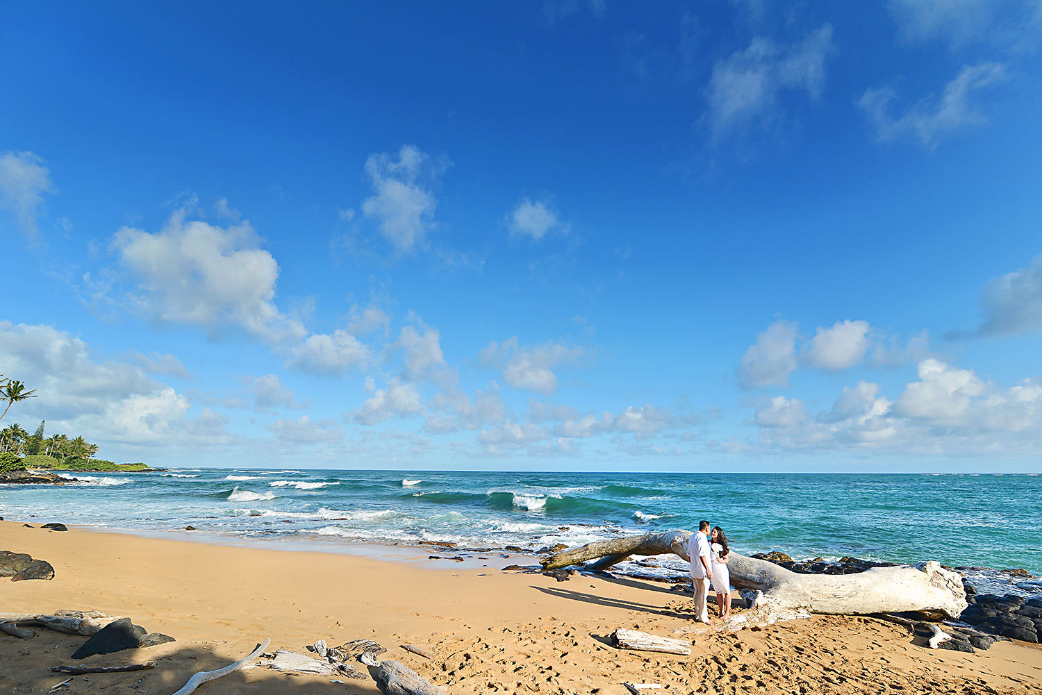 Kauai-Island-Hawaii-wedding-photo-(44).jpg