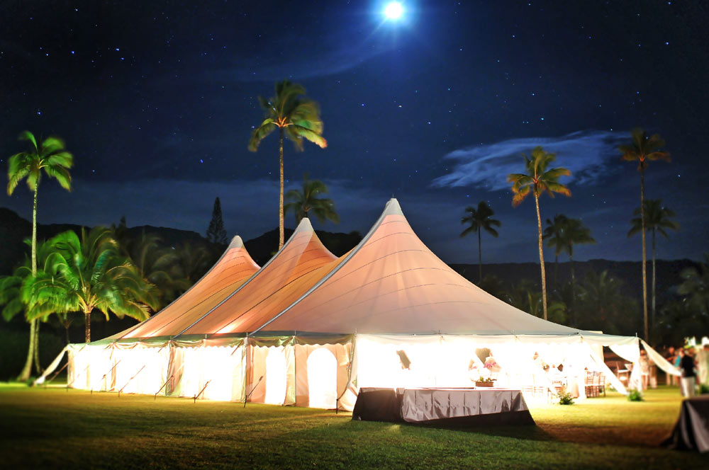Kauai-wedding-photo-110.jpg