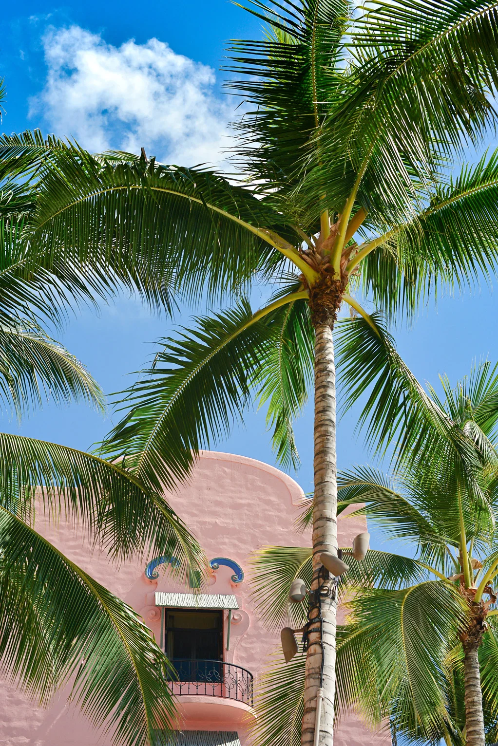 DSC_3056.jpg