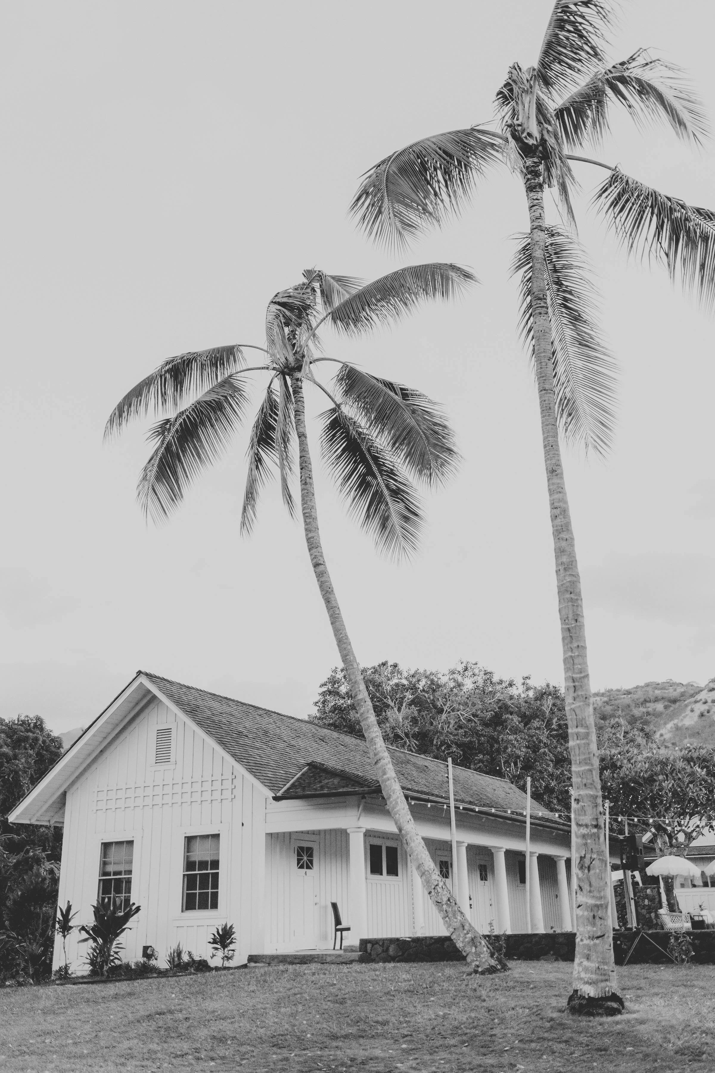 romantic-dillingham-ranch-wedding-DSC_9032BW.jpg