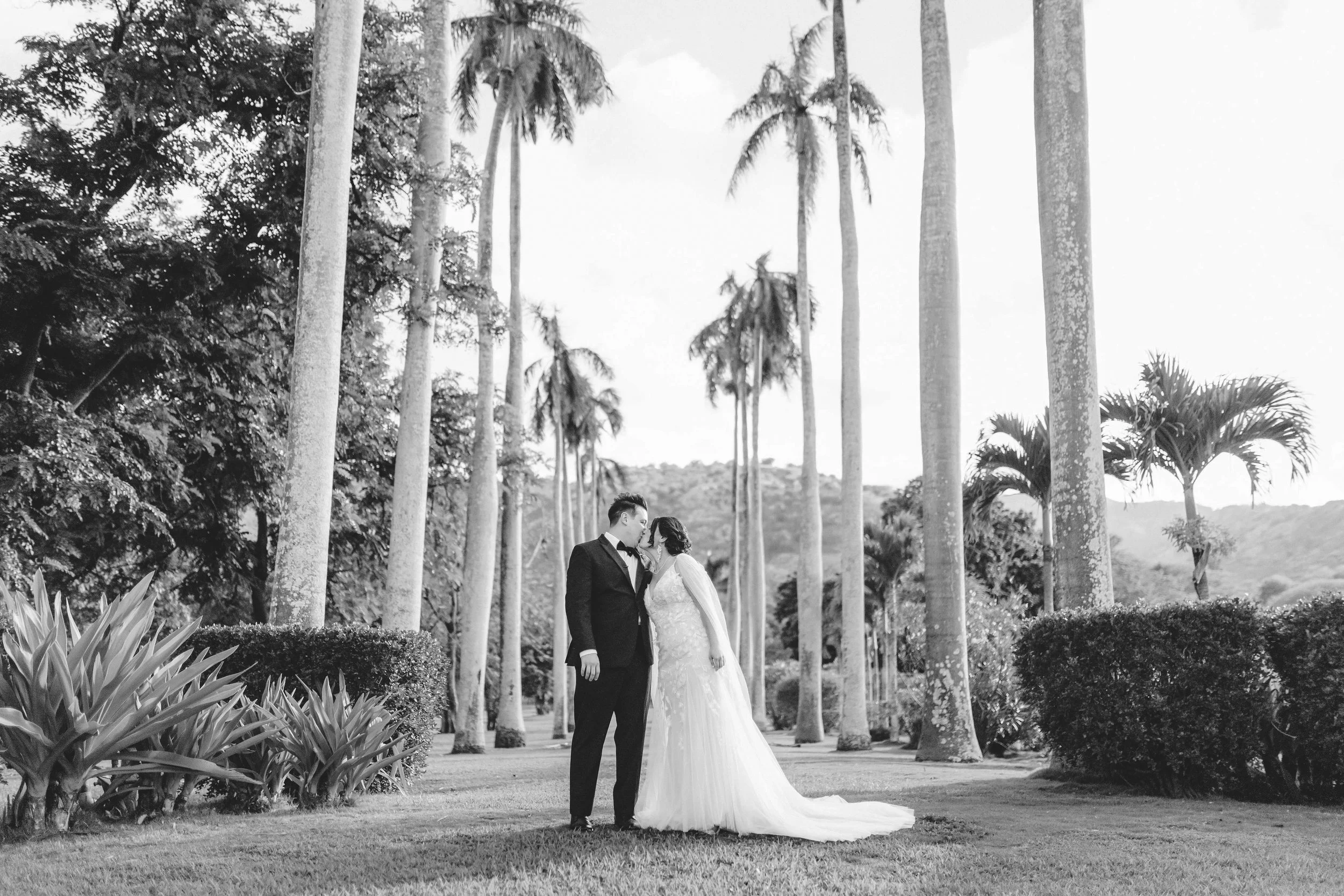 hawaii-dillingham-ranch-wedding-first-look (25).jpg