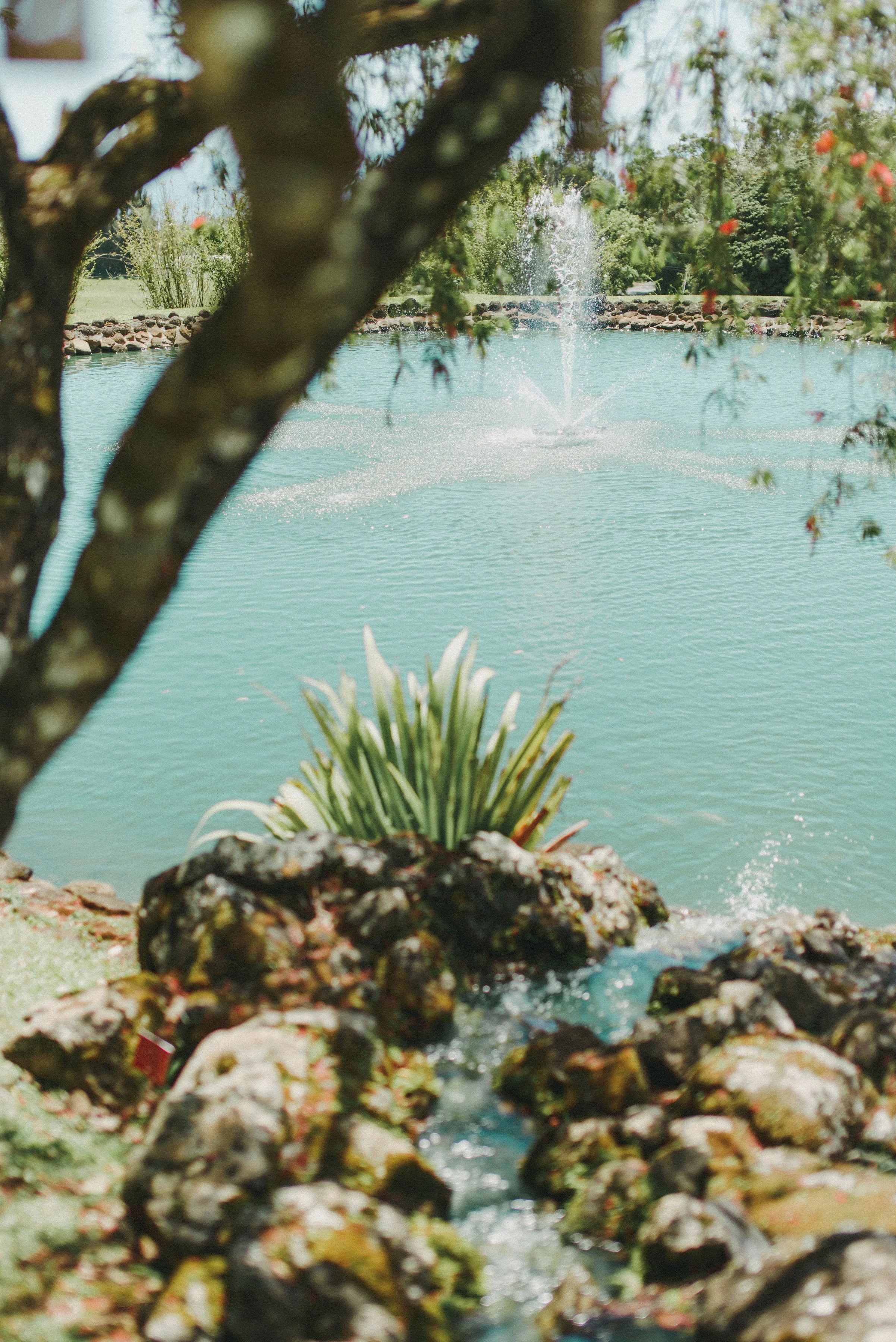 sunset-ranch-oahu-wedding-phototgrapher (181).jpg