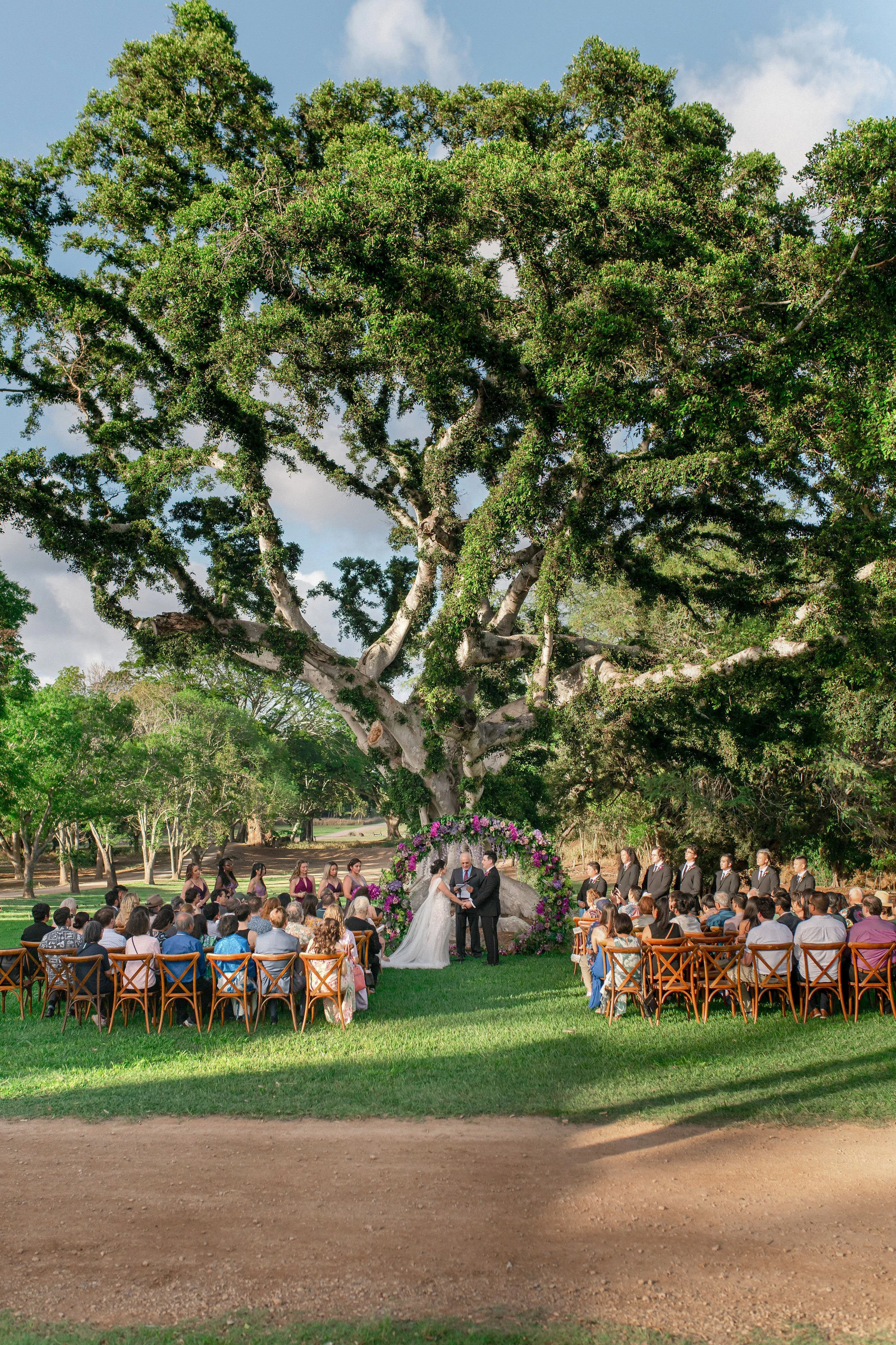hawaii-dillingham-ranch-wedding-ceremony (89).jpg