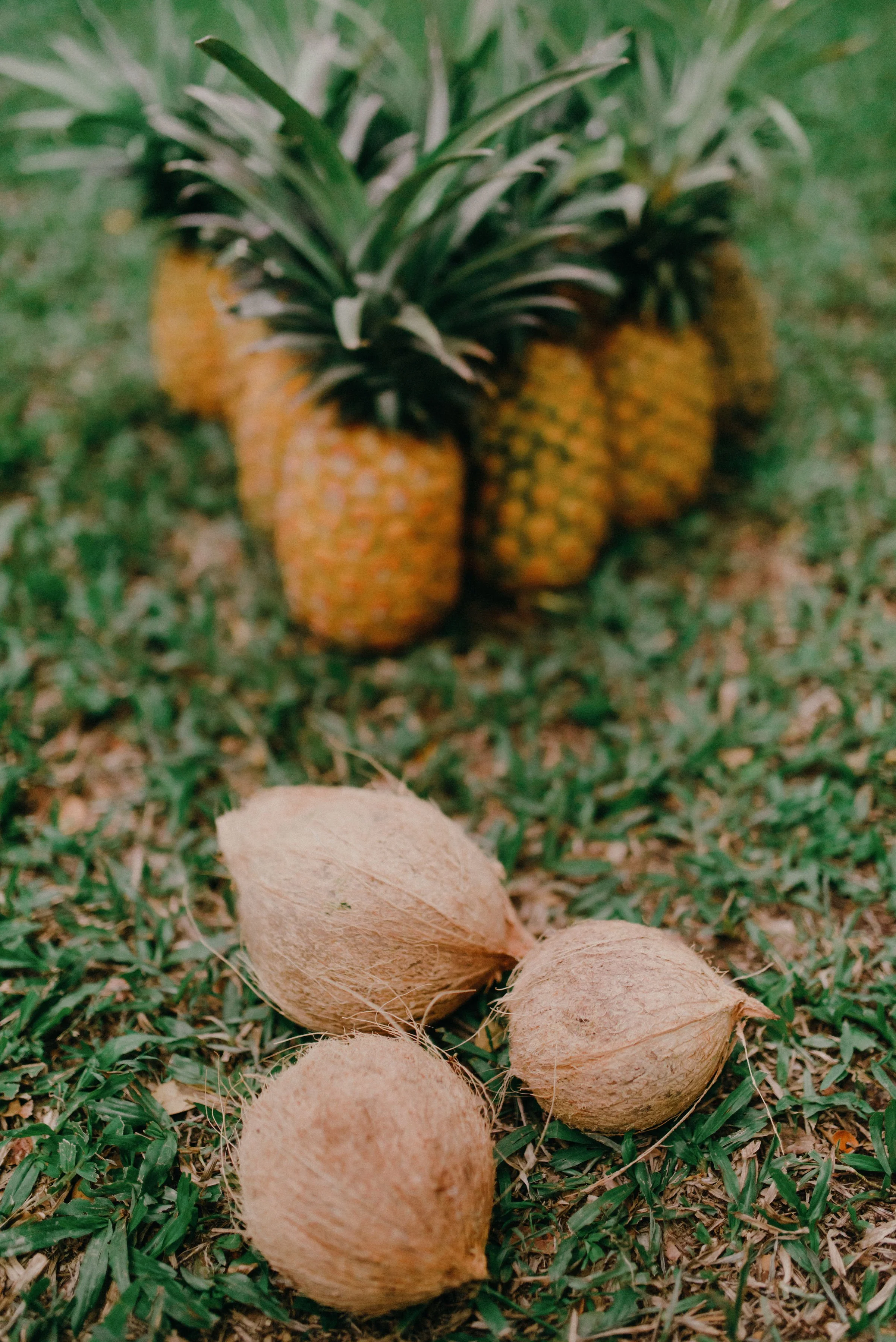 oahu-tropical-starry-boho-waimea-valley-wedding-reception-details- (154).jpg