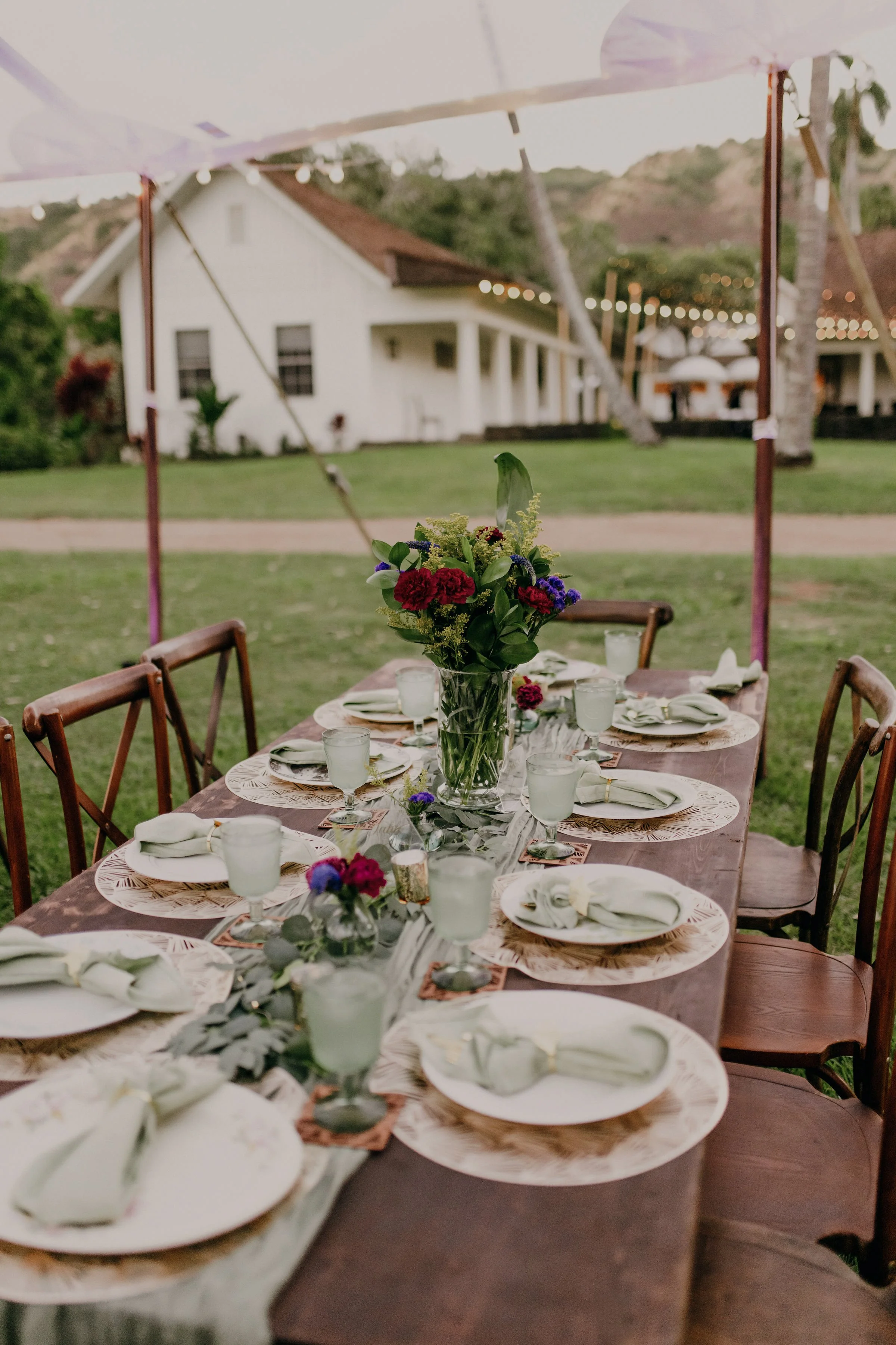hawaii-dillingham-ranch-wedding-reception (3).jpg