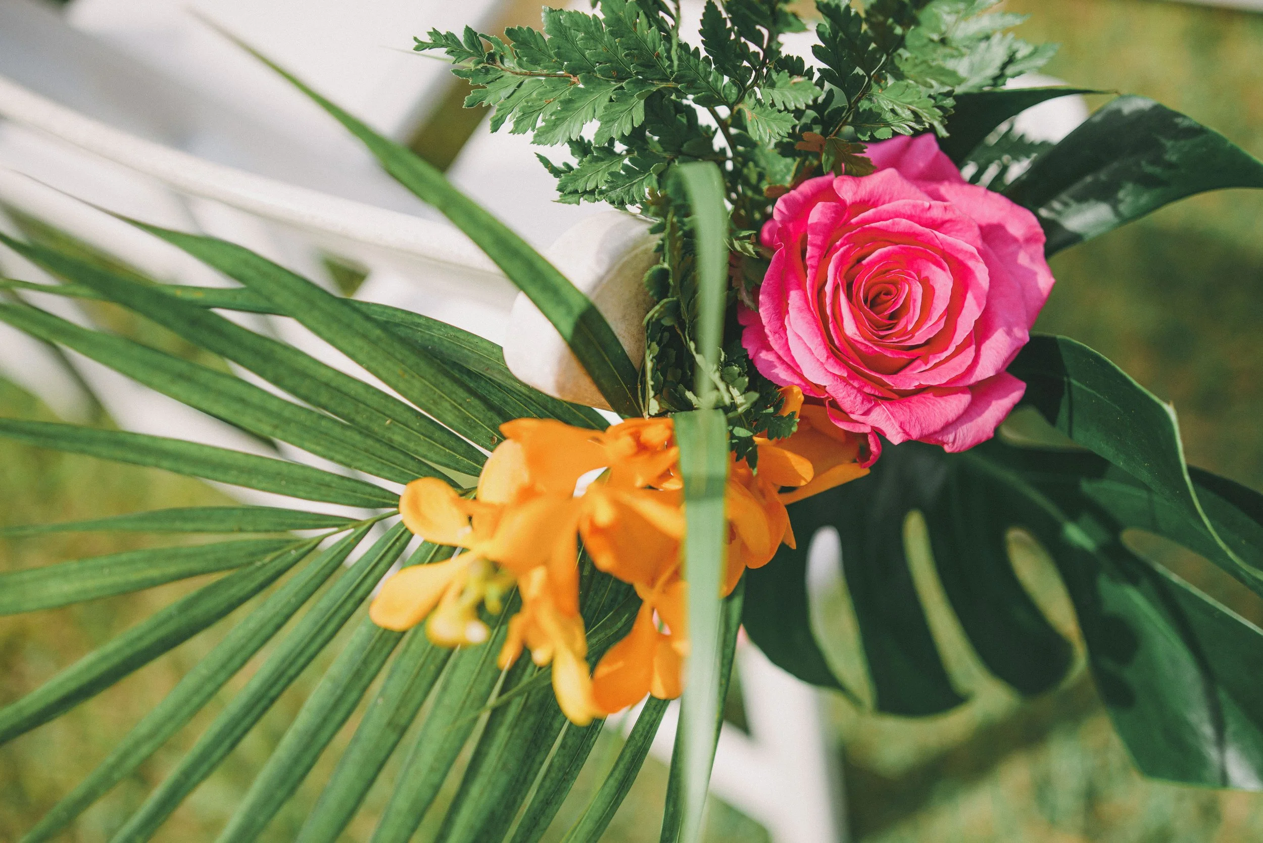 FILMLIGHTDSC_1231.jpg