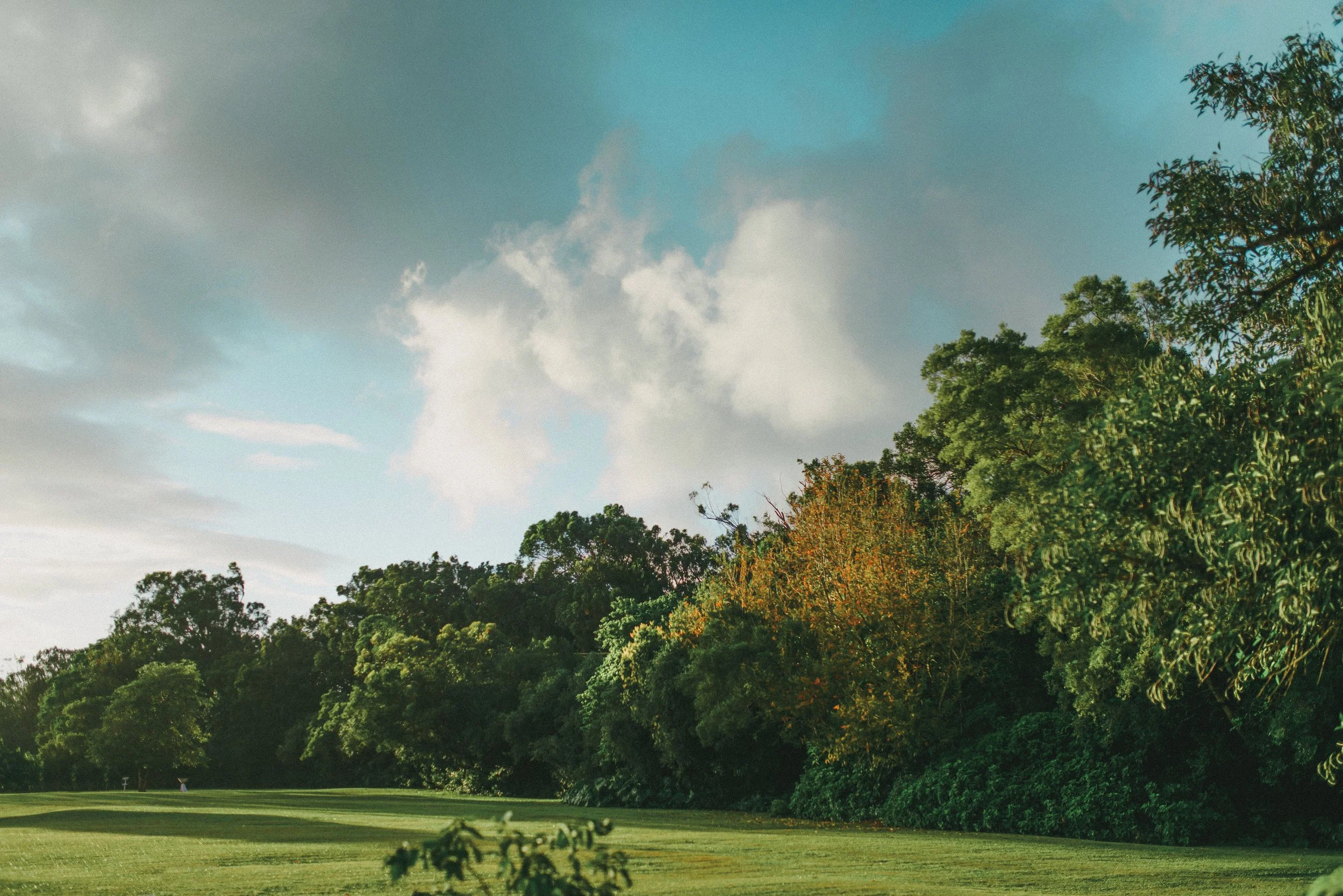 sunset-ranch-oahu-wedding-phototgrapher (686).jpg