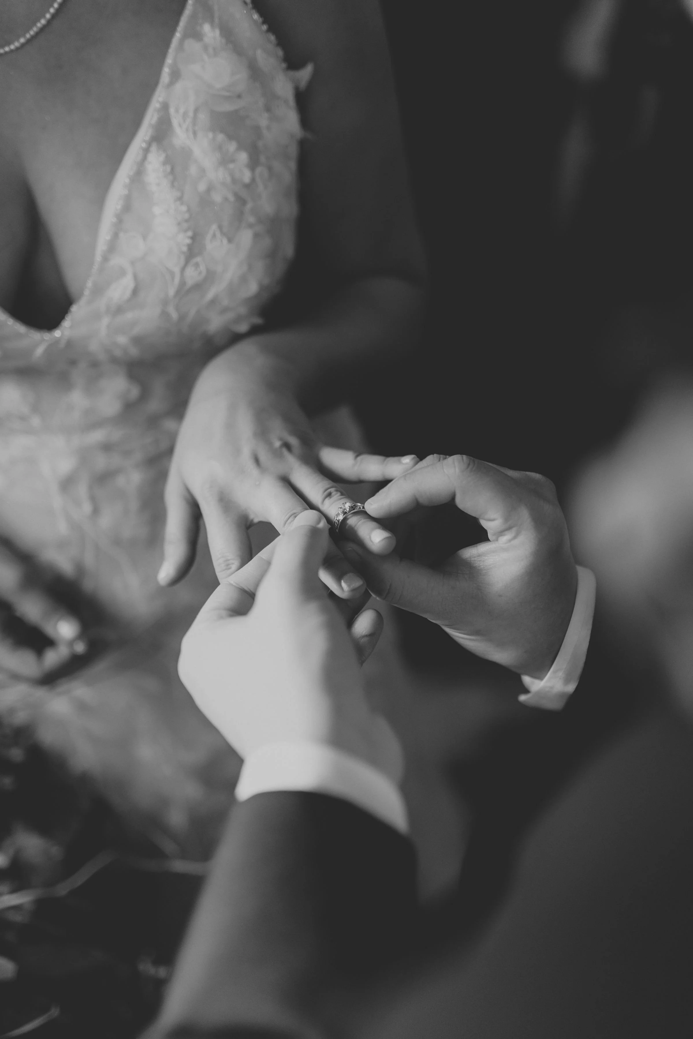 tropicaldillingham-ranch-wedding-reception (208).jpg