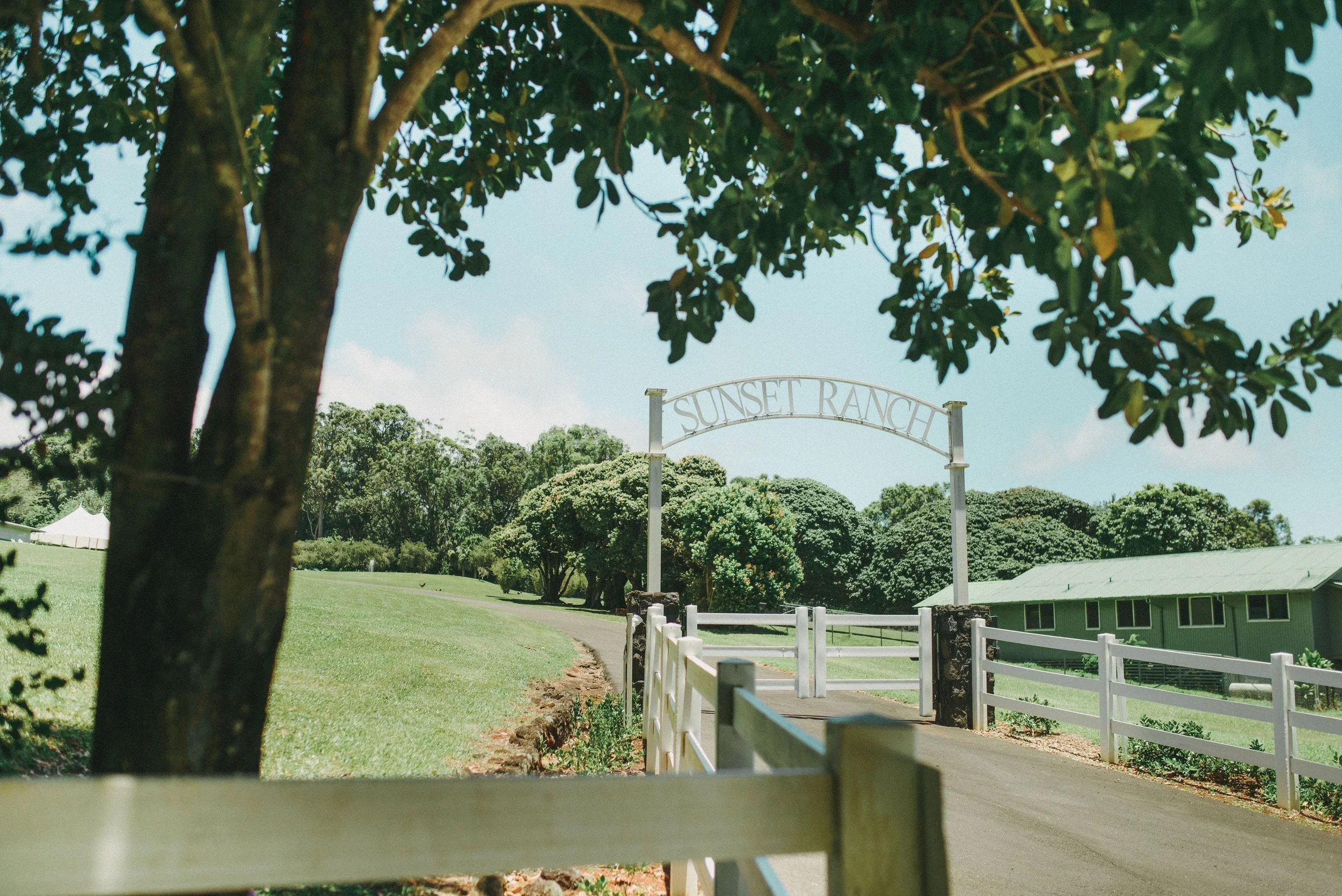 sunset-ranch-oahu-wedding-phototgrapher (147).jpg