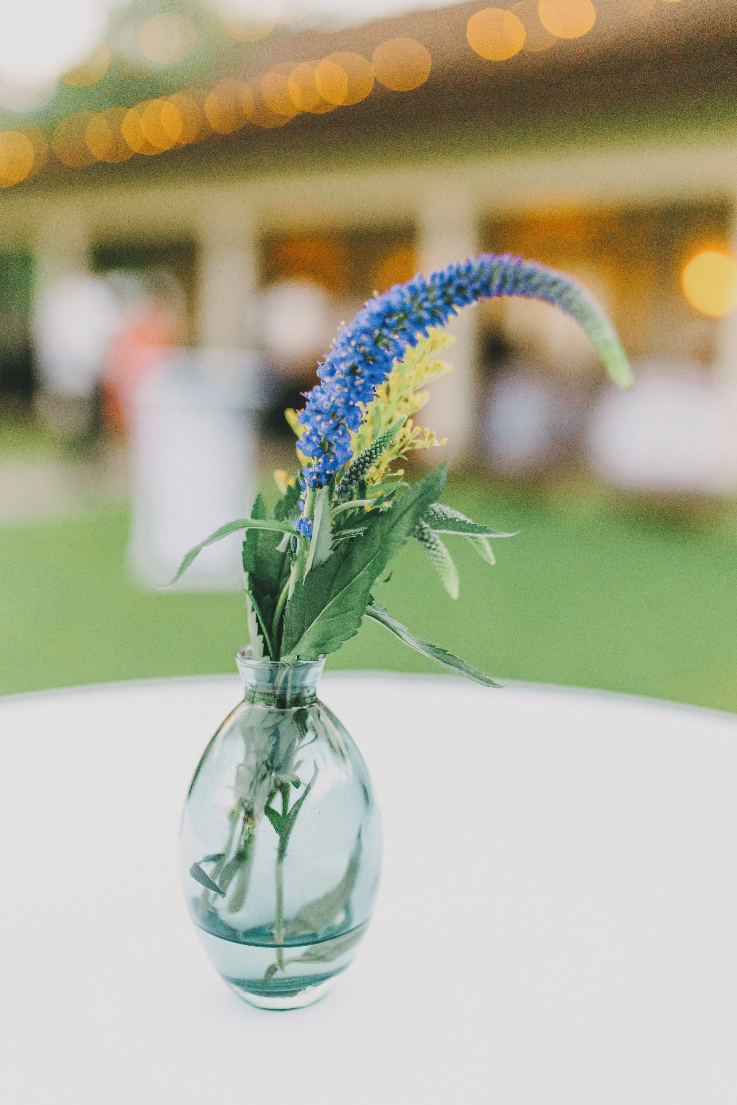 romantic-north-shore-wedding-DSC_9042FILMLIGHT.jpg