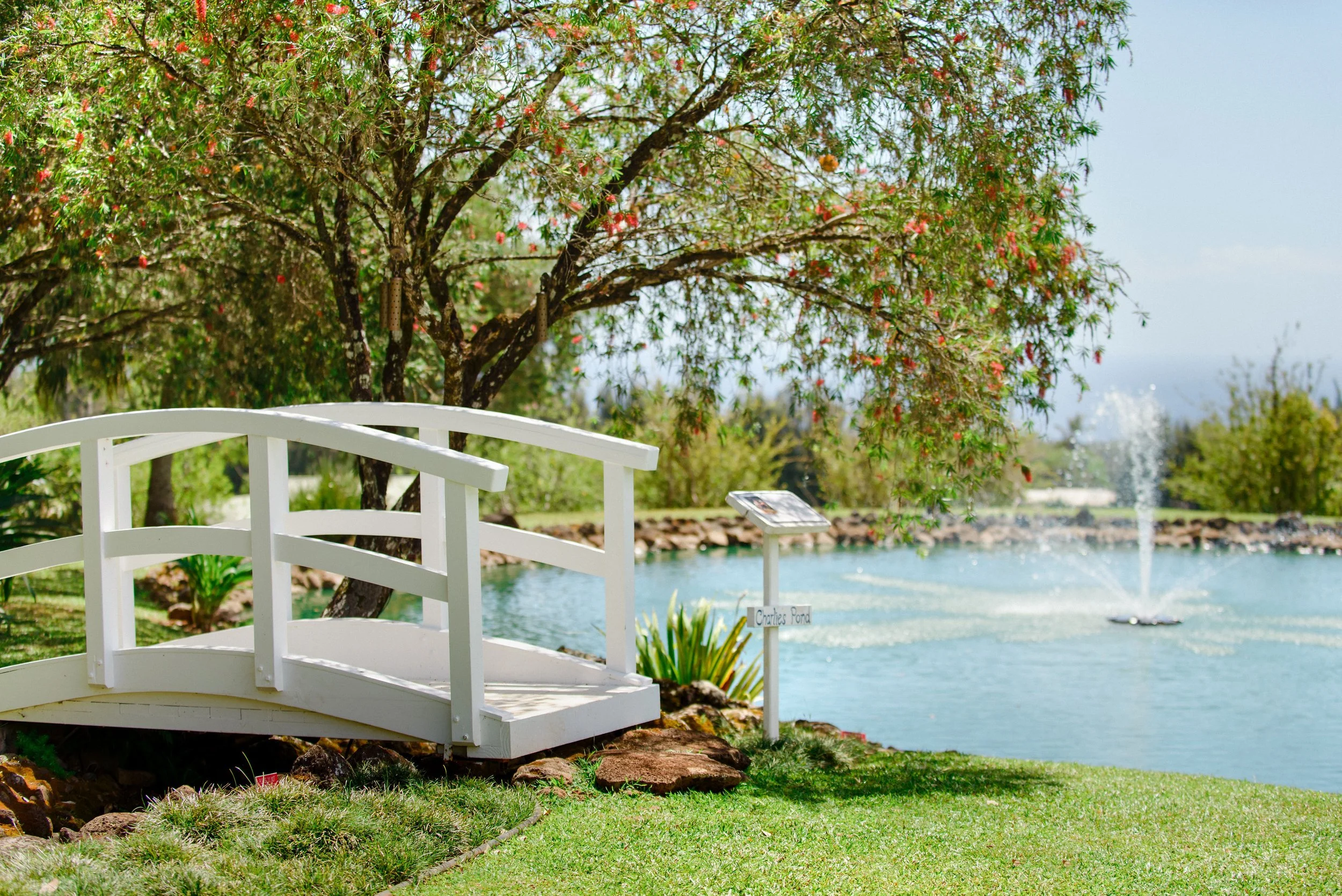 vintage-ceremony-setup-timeless-romantic-hawaii-oahu-sunset-ranch-wedding(183).jpg