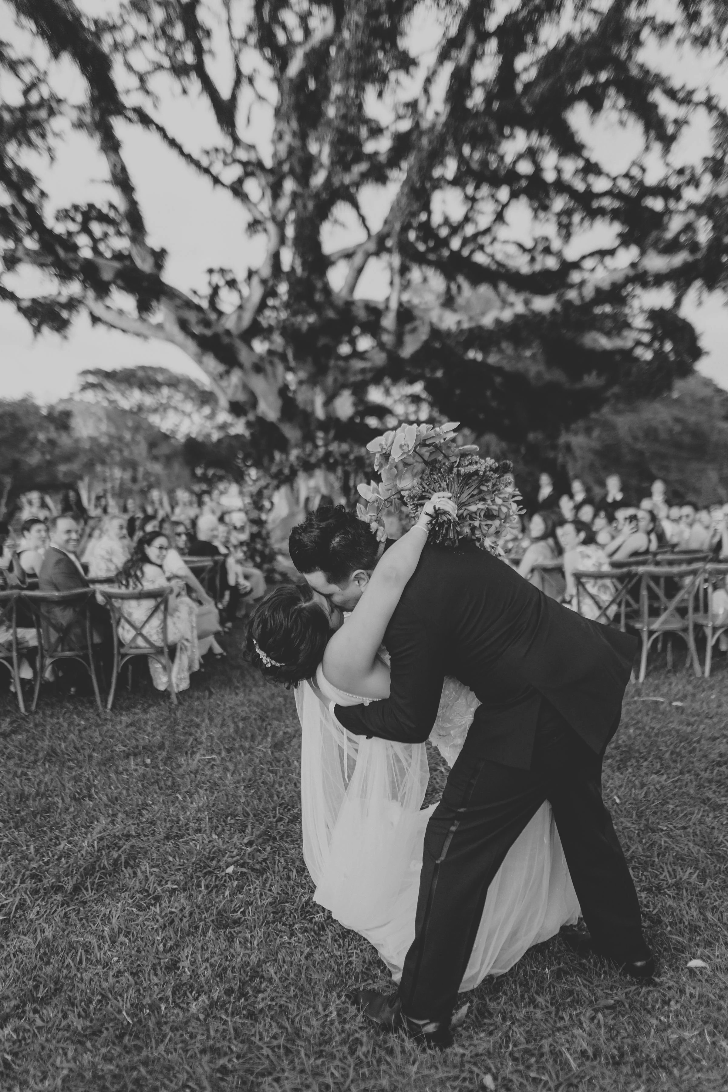 hawaii-dillingham-ranch-wedding-ceremony (132).jpg