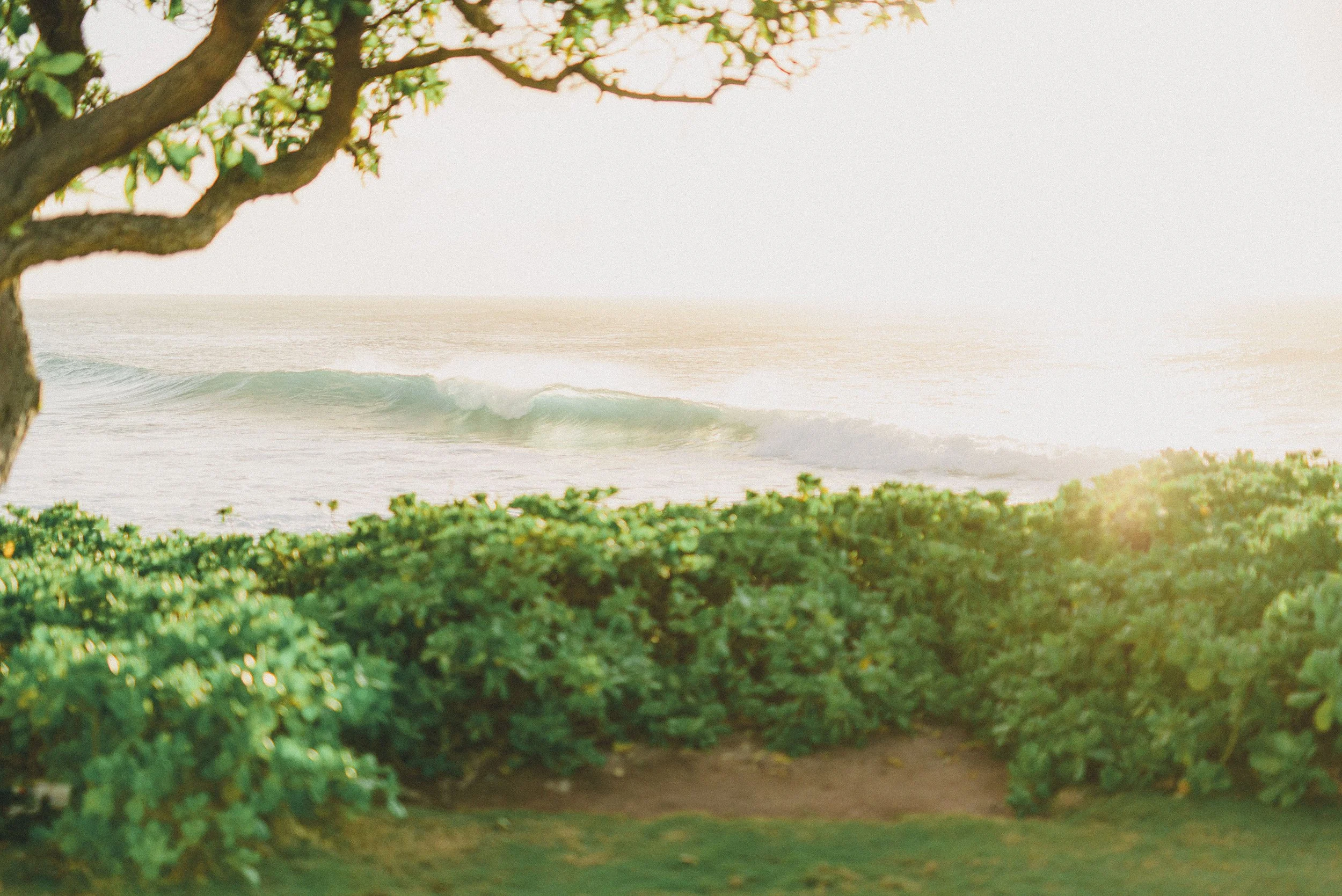 ritz-carlton-turtle-bay-wedding-phototgrapher (54).jpg