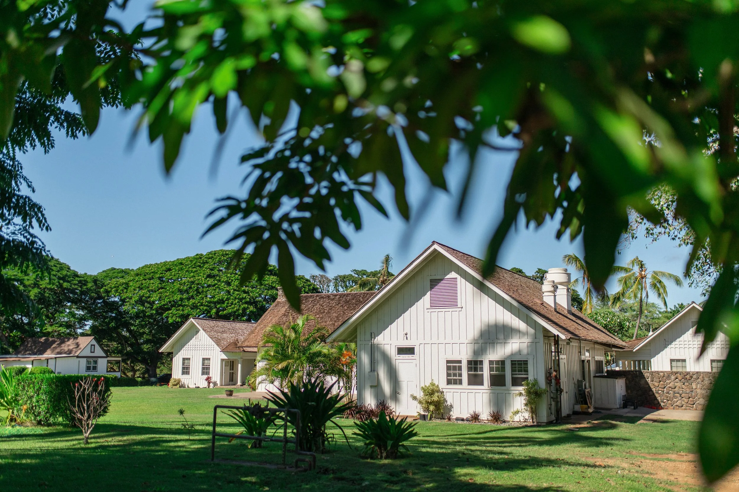 hawaii-dillingham-ranch-wedding-getting-ready (20).jpg