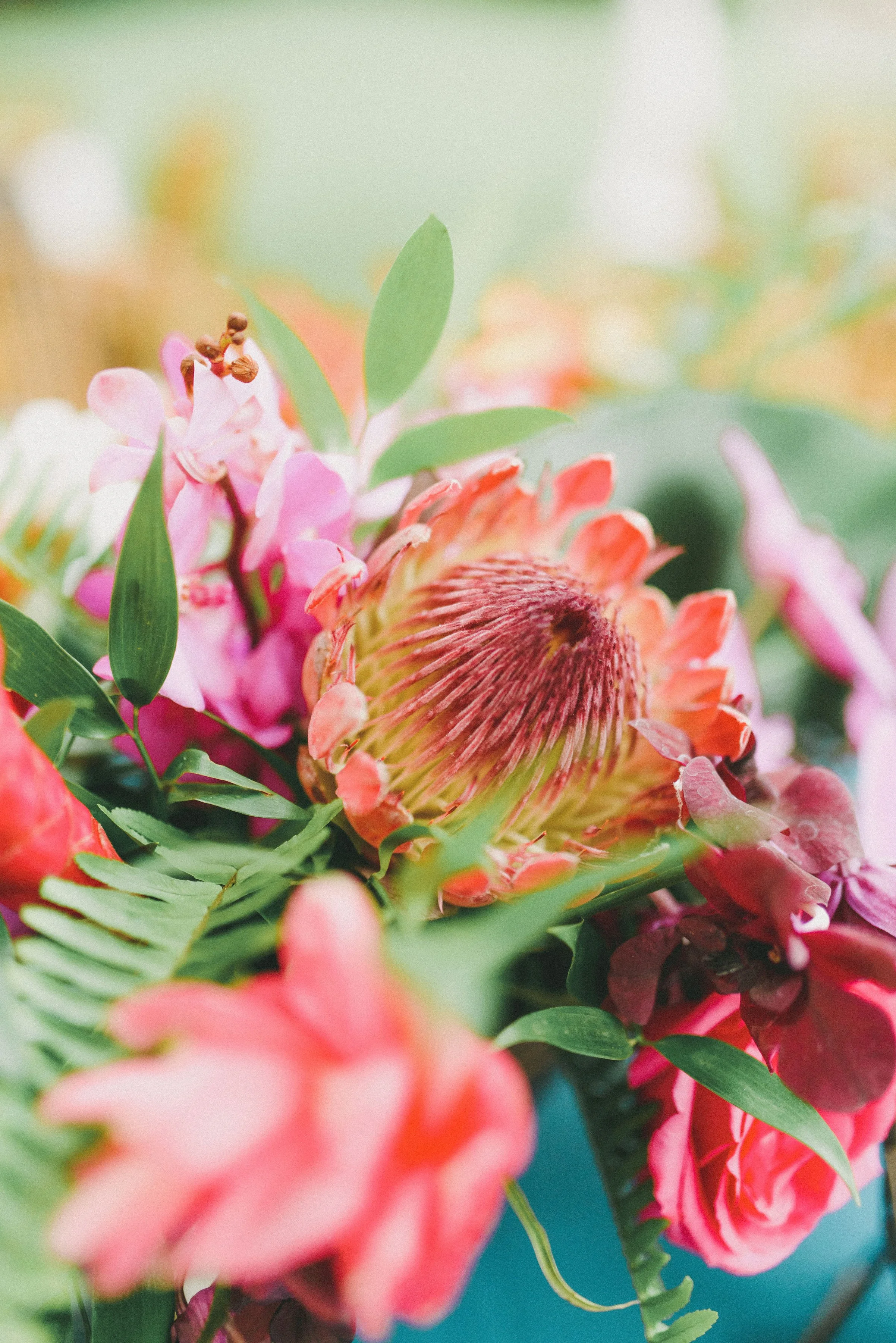 tropical-boho-waimea-valley-wedding-reception-blue- (66).jpg