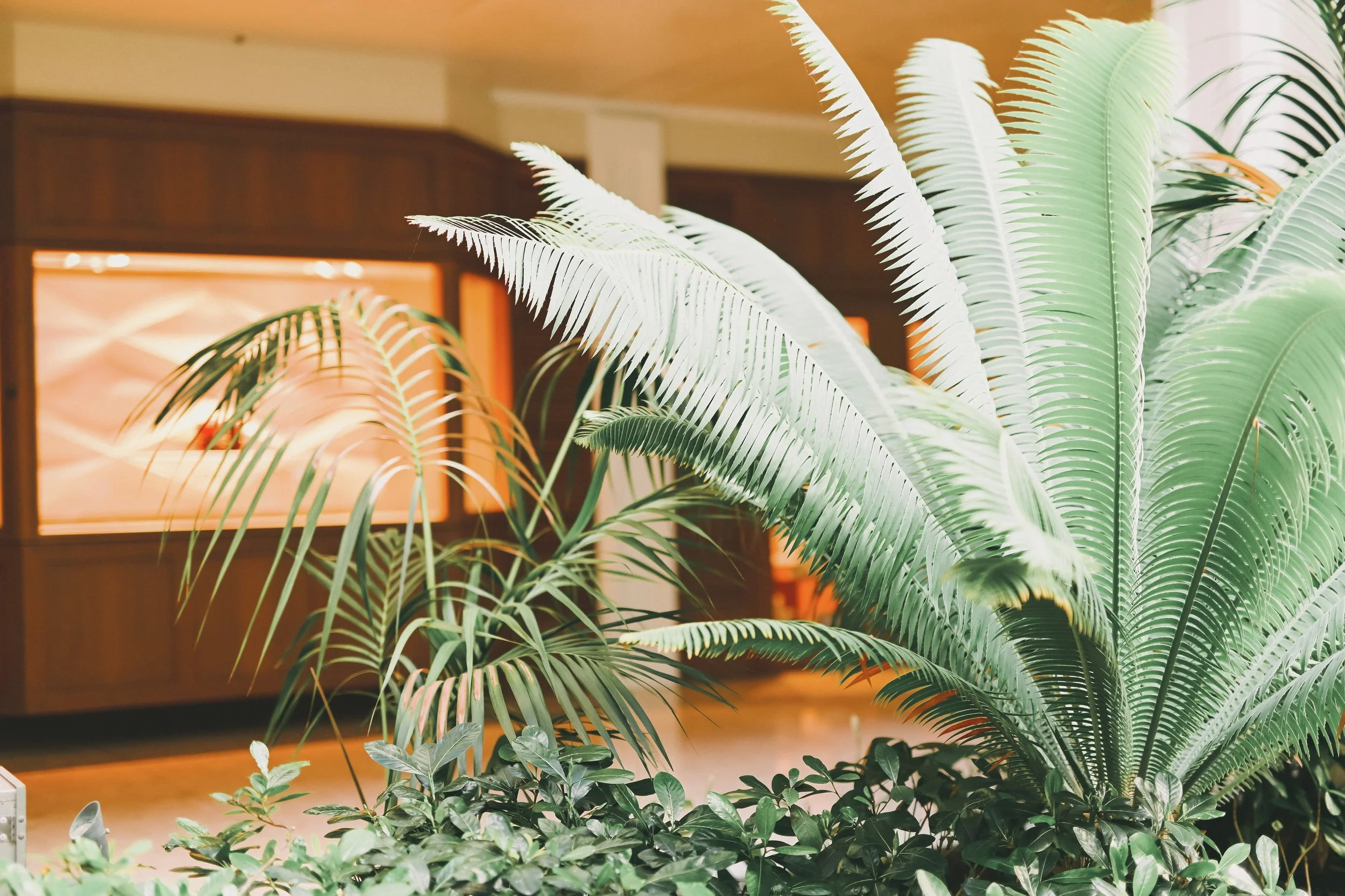 halekulani-hotel-wedding-venue-phototgrapher (137).jpg