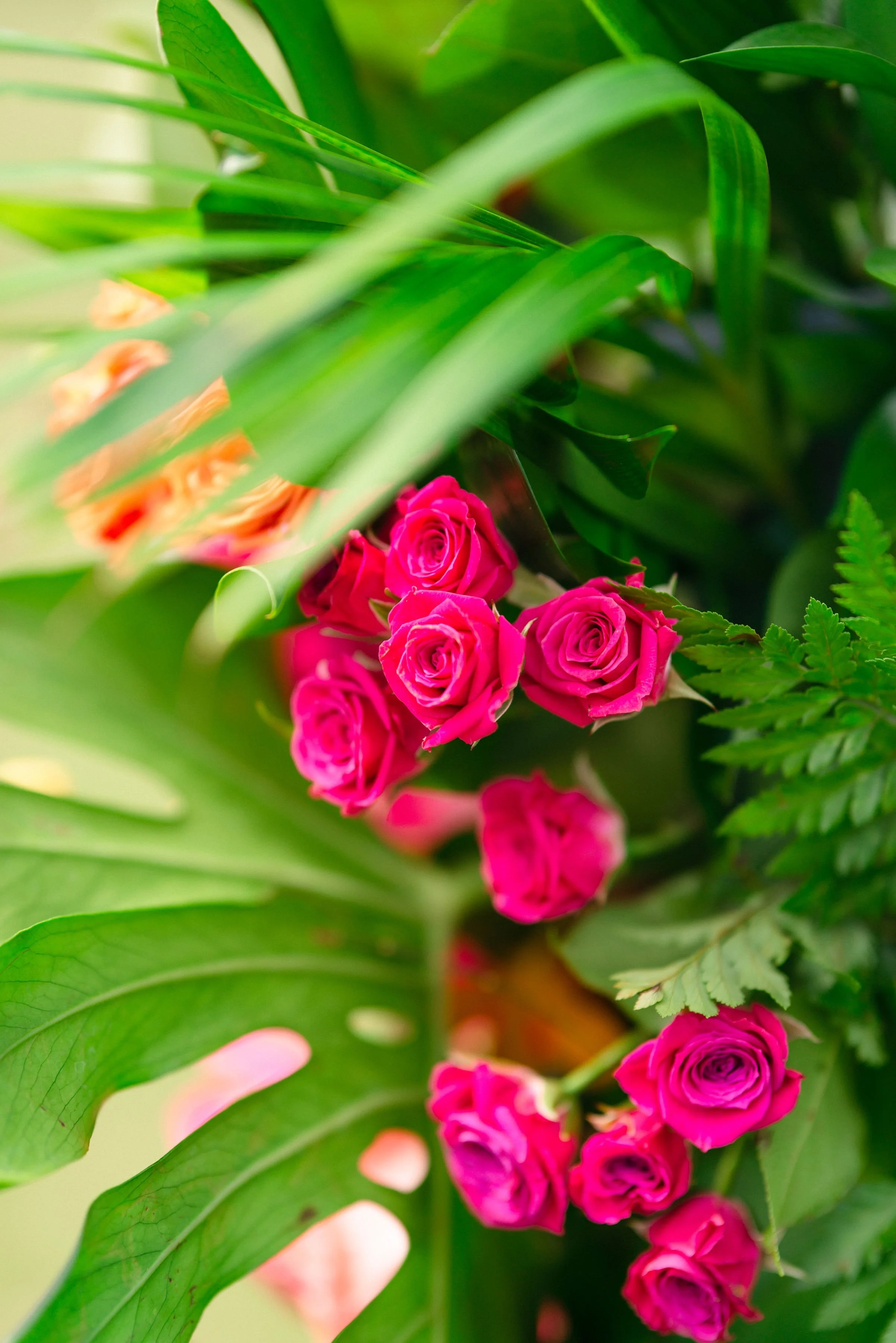 loulu-palms-estate-wedding-photographer (8).jpg