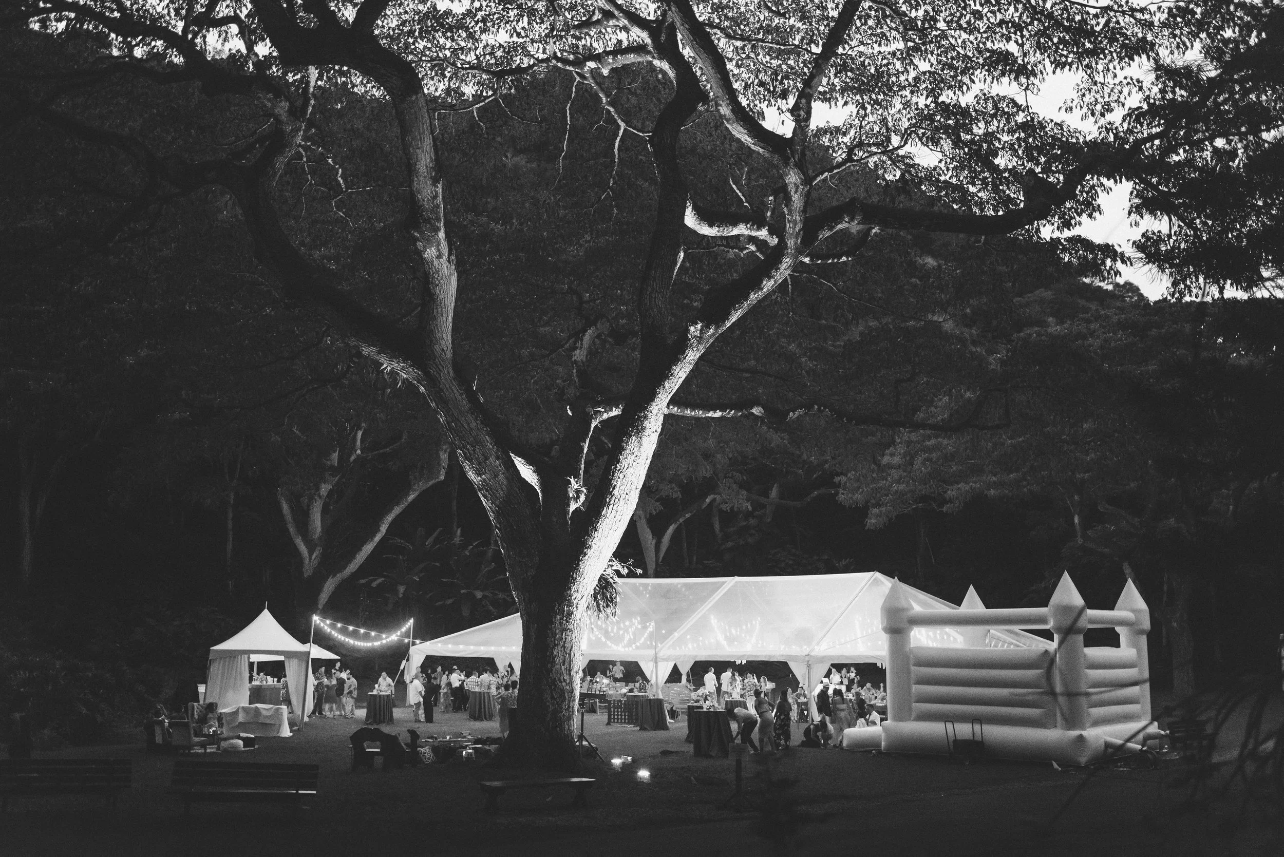hawaii-romantic-waimea-valley-wedding-reception (1).jpg