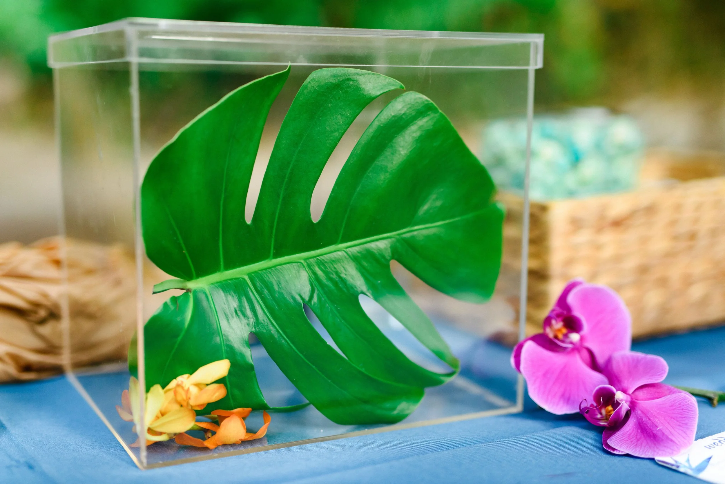 oahu-colorful-romantic-starry-waimea-valley-wedding-reception-details- (3).jpg