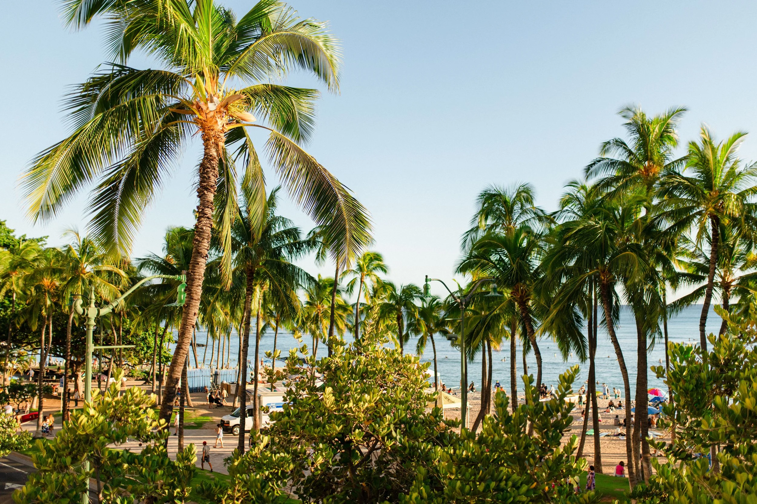 tropical-traditional-indian-wedding-oahu (65).jpg