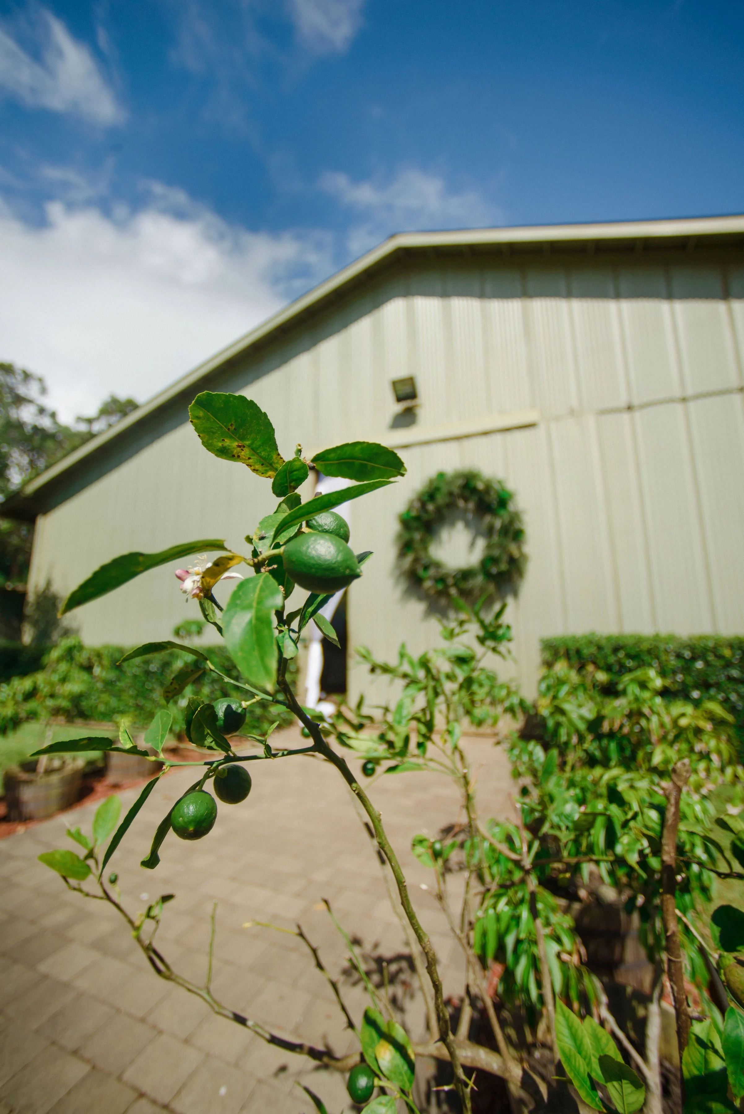 romantic-luxury-tropical-photography-sunset-ranch-wedding(285).jpg