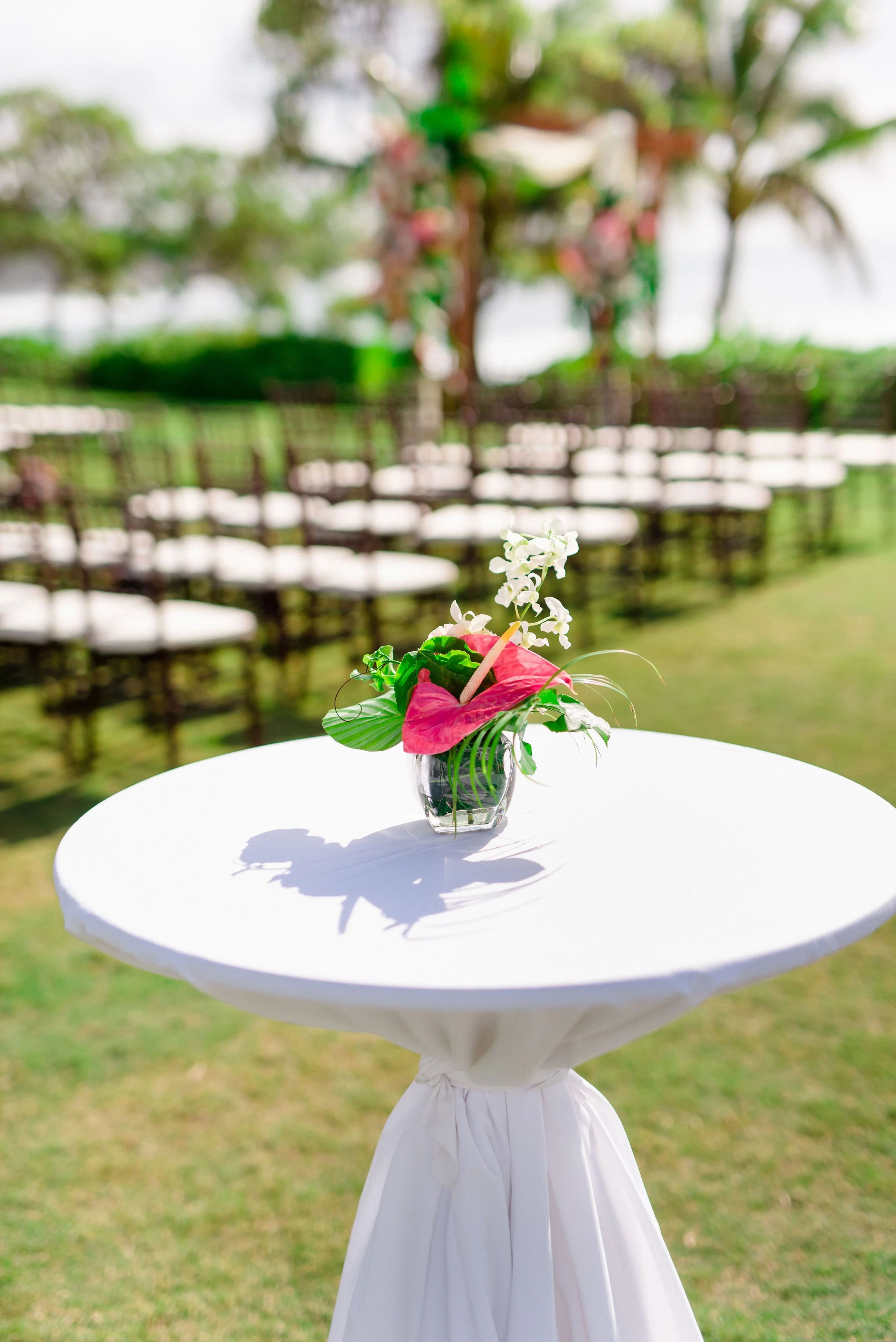 ritz-carlton-turtle-bay-wedding-phototgrapher (67).jpg