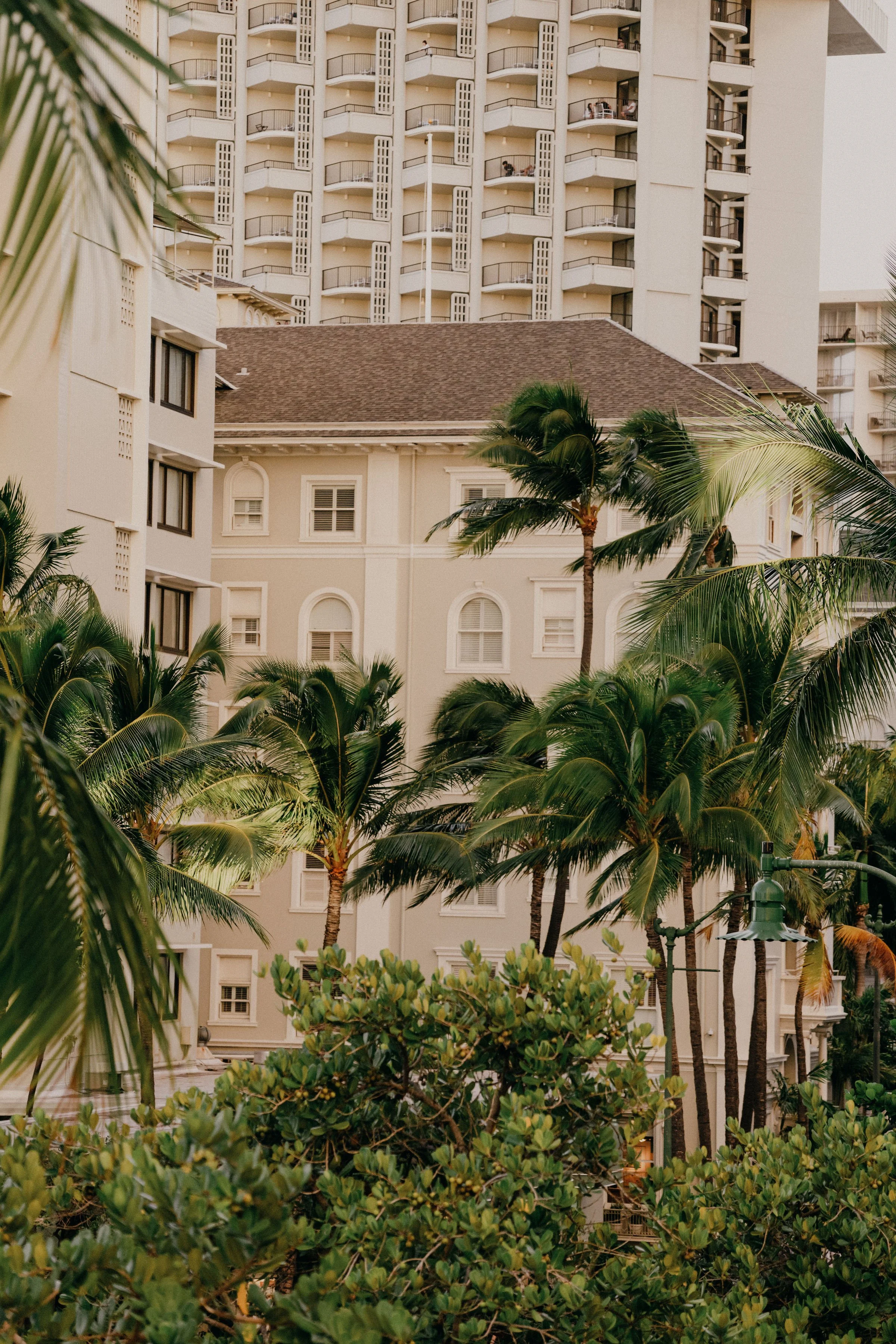 tropical-traditional-indian-wedding-oahu (67).jpg