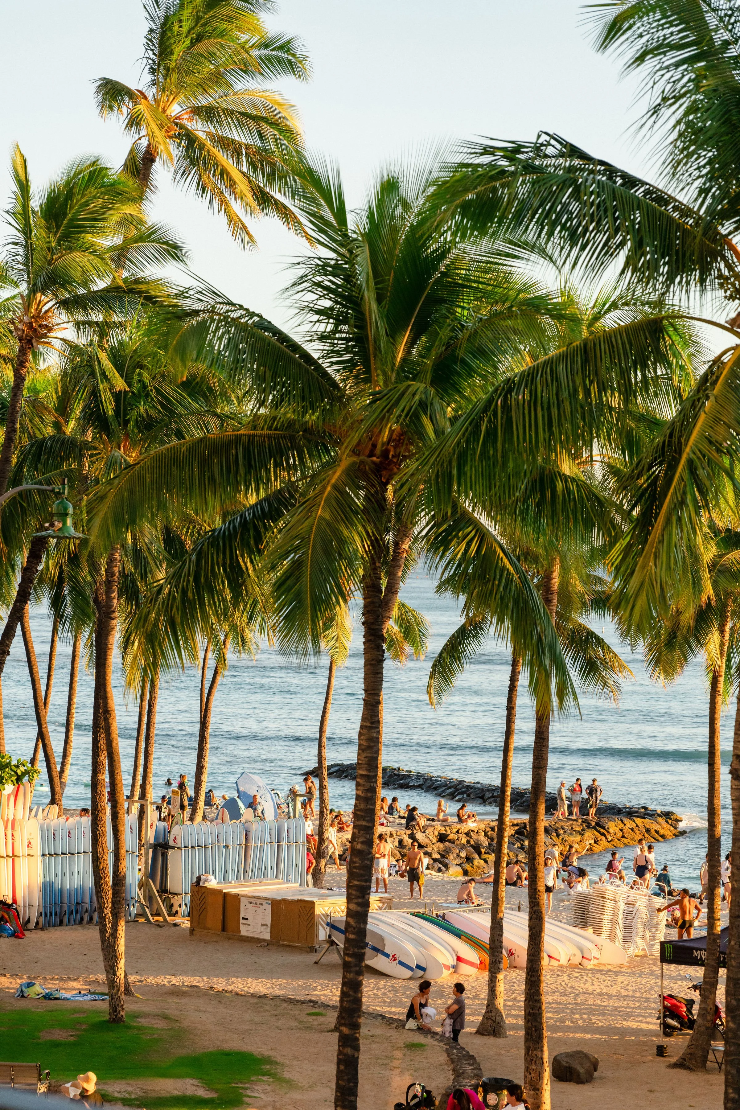 tropical-traditional-indian-wedding-oahu (76).jpg