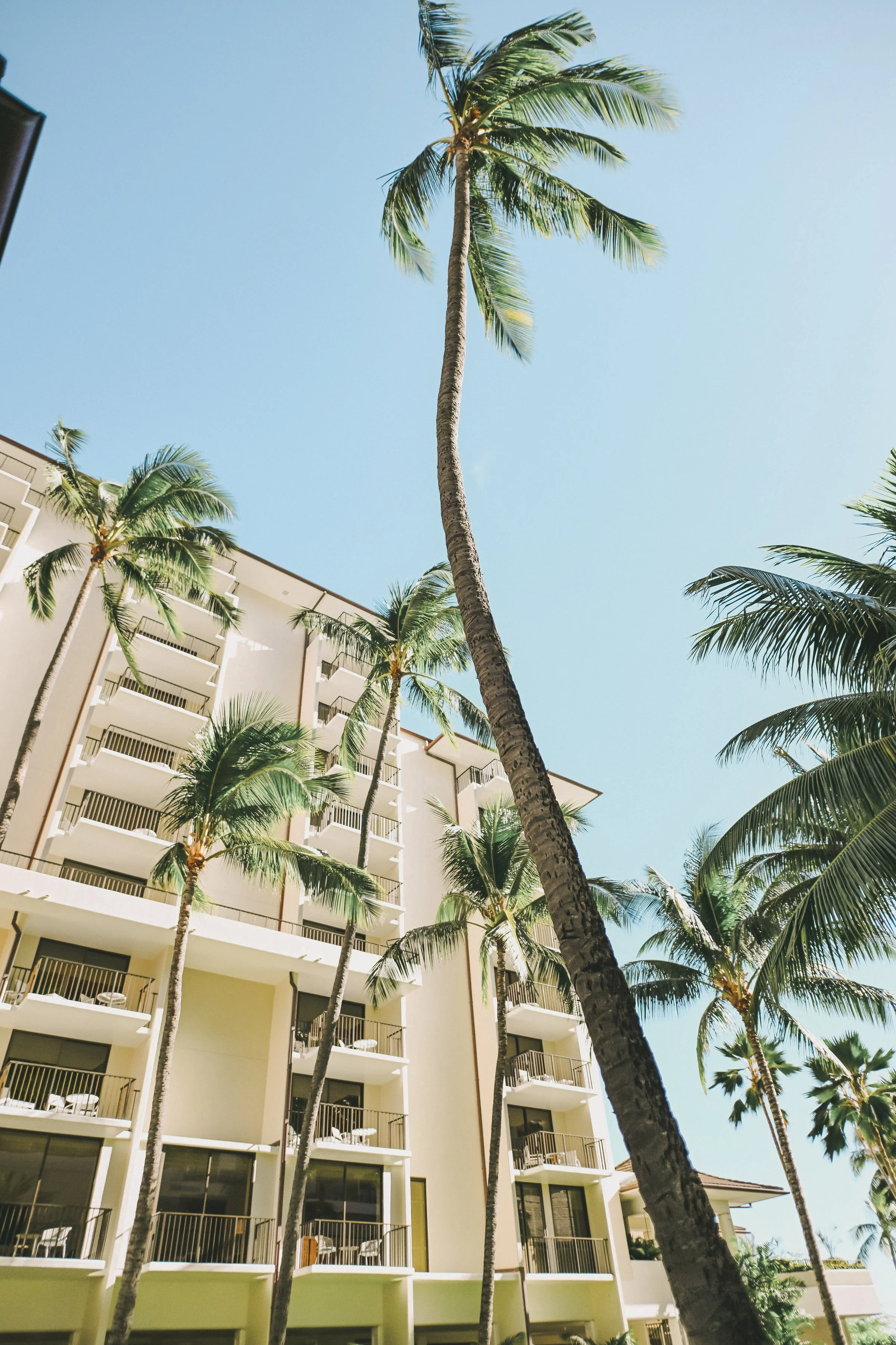 halekulani-hotel-wedding-venue-phototgrapher (135).jpg