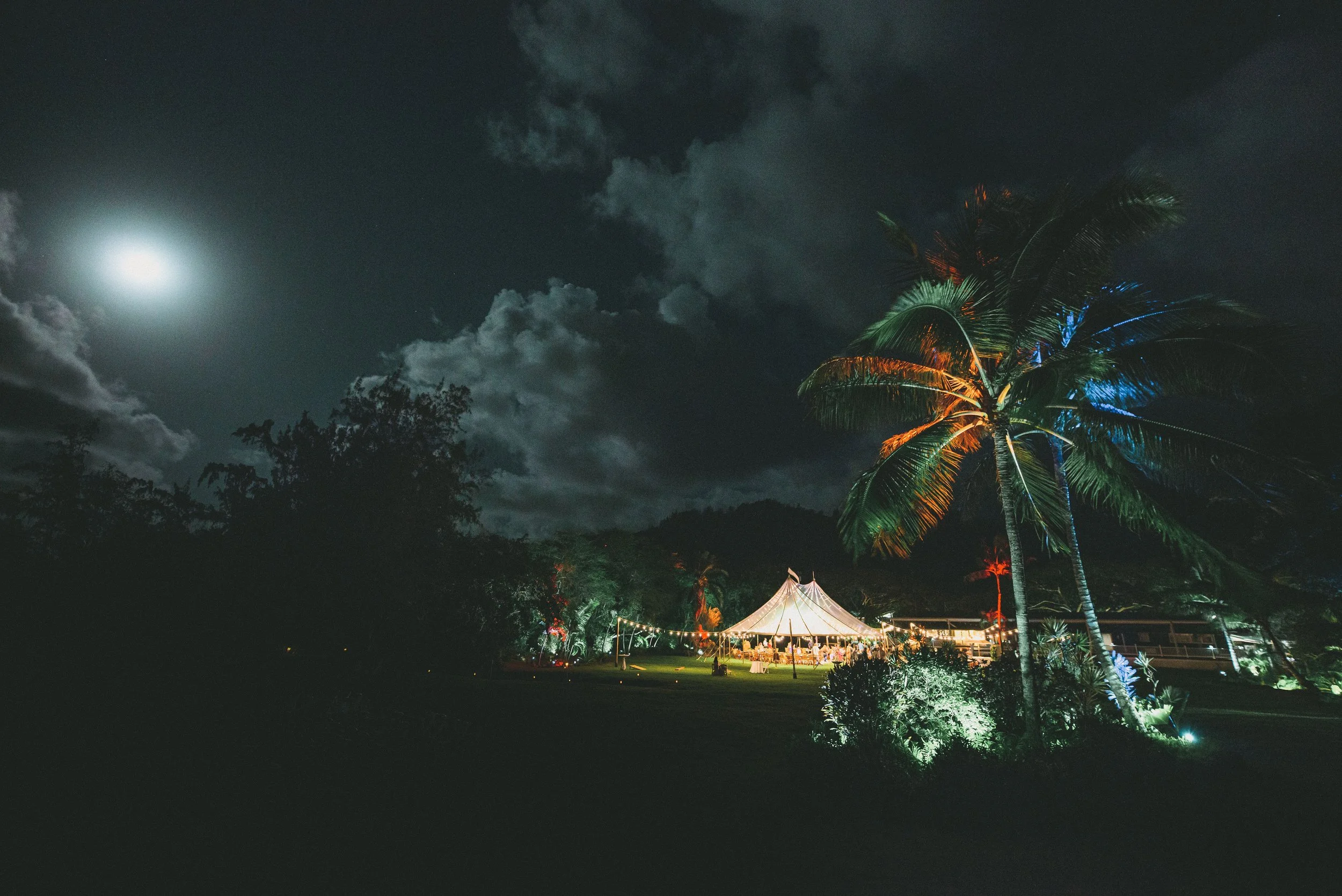 loulu-palms-estate-wedding-photographer (231).jpg