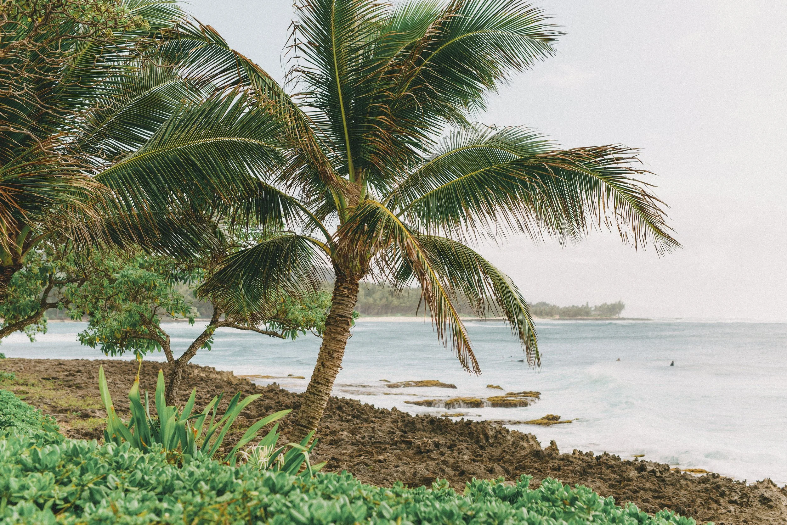 ritz-carlton-turtle-bay-wedding-phototgrapher (78).jpg