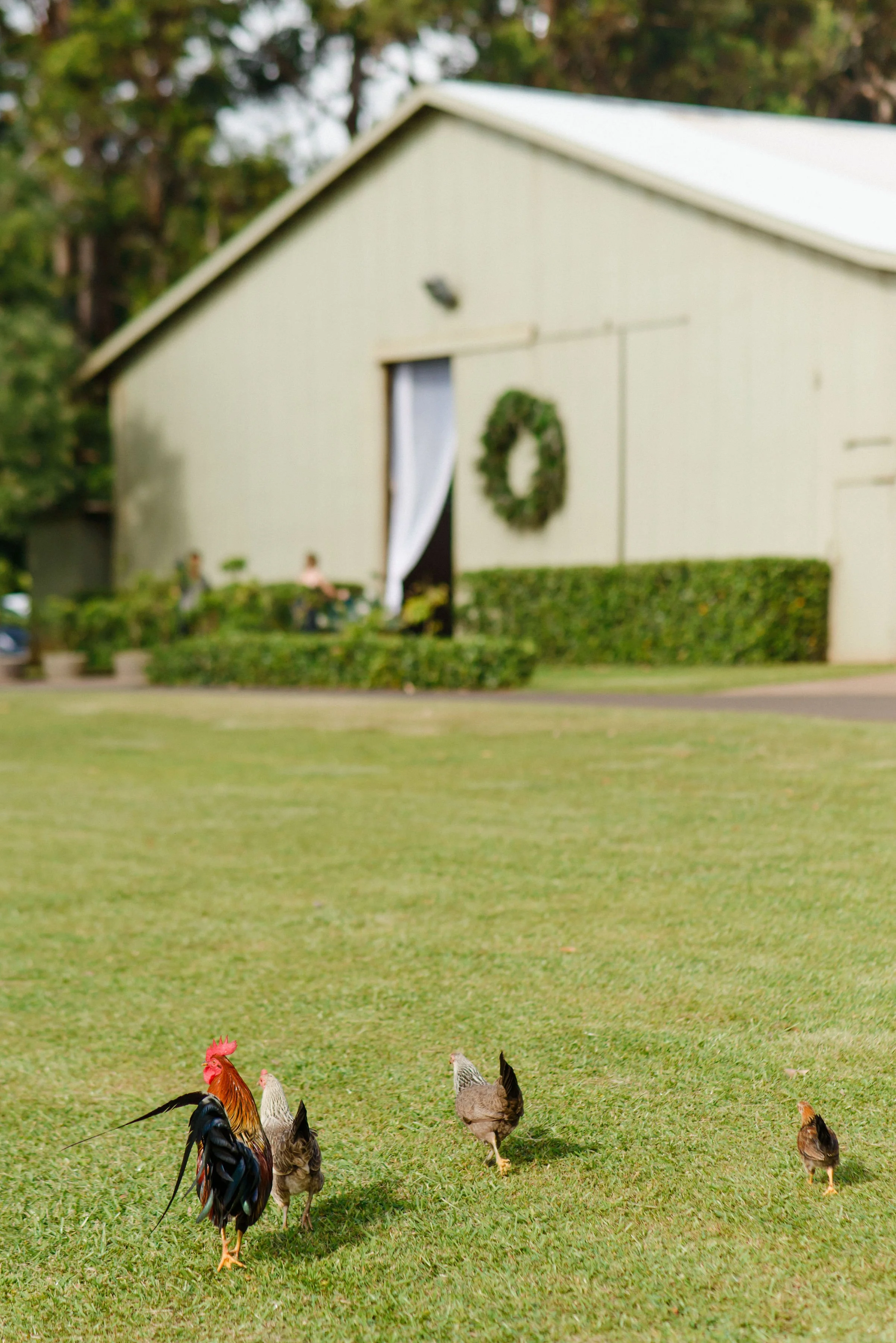 reception-details-romantic-luxury-tropical-photography-sunset-ranch-wedding(460).jpg