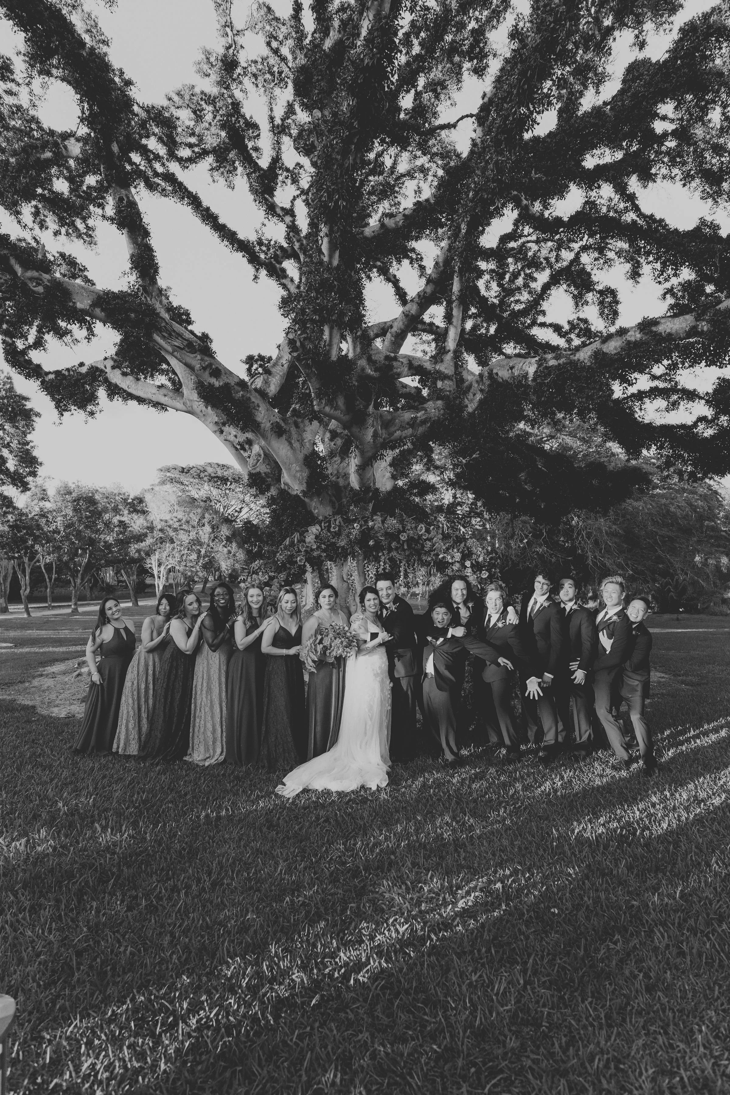 hawaii-dillingham-ranch-wedding-ceremony (222).jpg