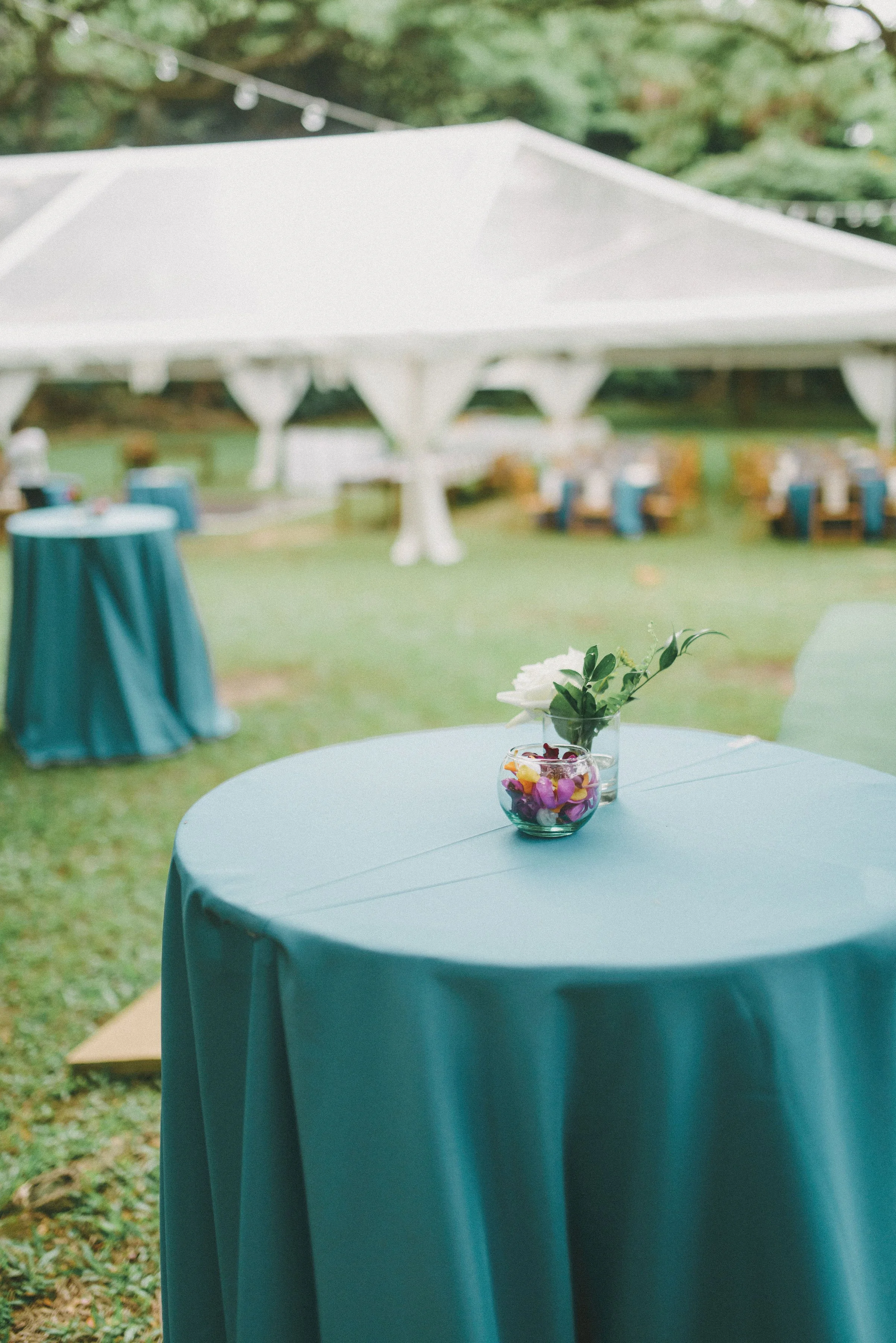 romantic-tropical-boho-waimea-valley-wedding-reception-blue- (11).jpg