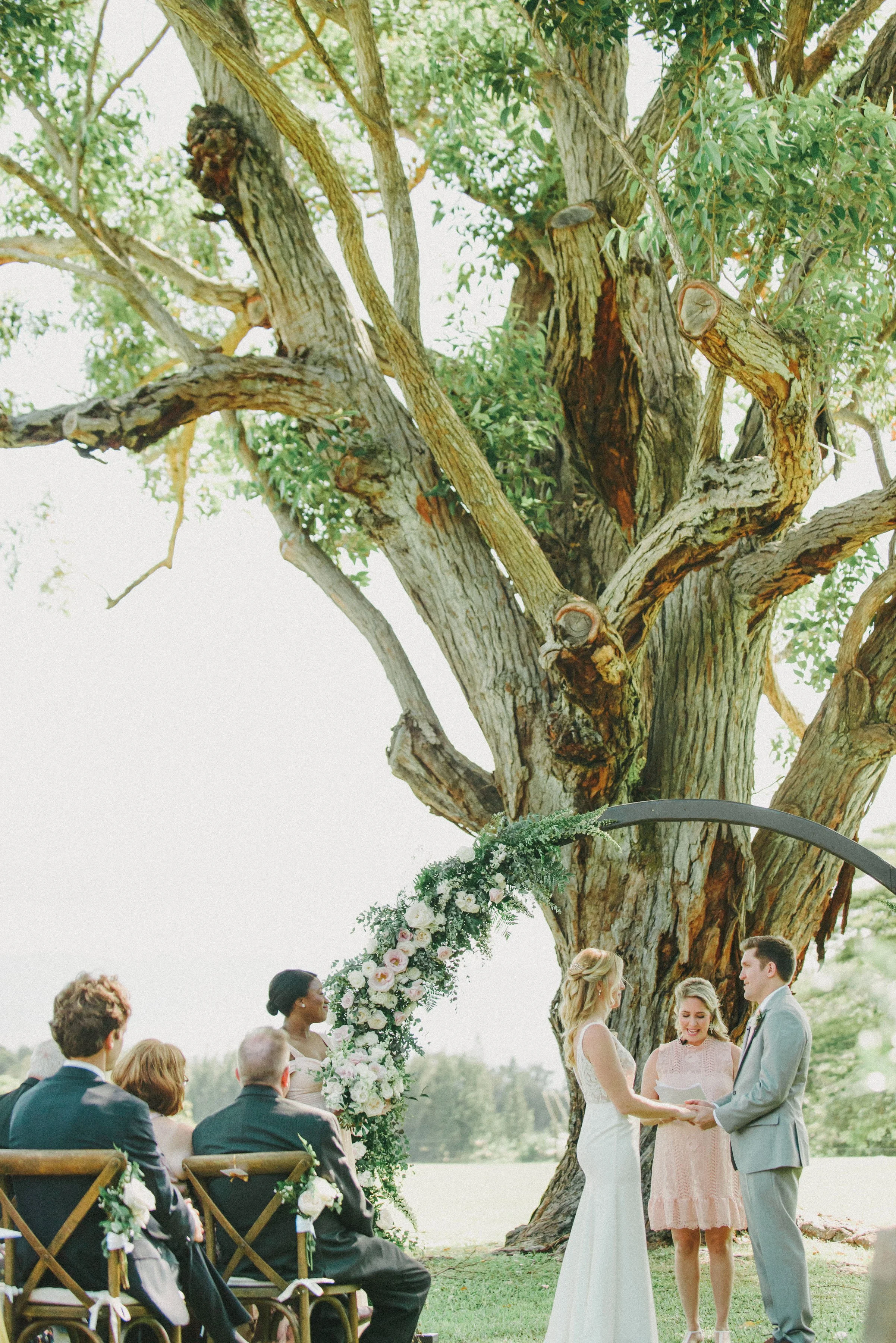 sunset-ranch-oahu-wedding-phototgrapher (334).jpg