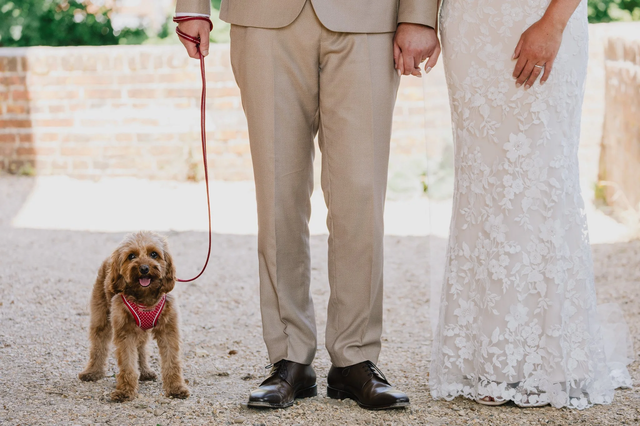 A couple holding hands, one in a wedding dress and the other in a suit, standing outdoors with a small brown dog on a red leash wearing a red and white harness. Matthew Johnston Photography, Hampshire, UK.