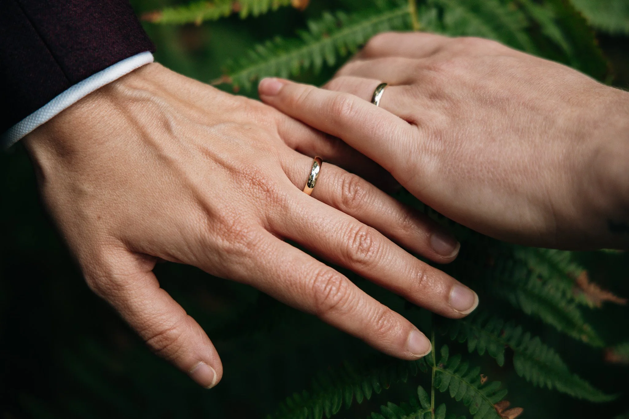 Close-up of two hands with wedding bands touching, one hand with a dark suit sleeve and the other hand with a light skin tone, resting on green fern leaves. Matthew Johnston Photography, Hampshire, UK.