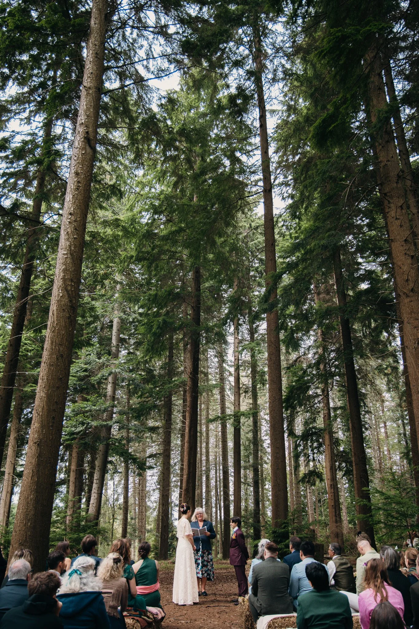 A wedding ceremony taking place in a forest with tall trees. A priest is reading from a book to a bride and groom standing in front of an audience of seated guests. Matthew Johnston Photography, Hampshire, UK.