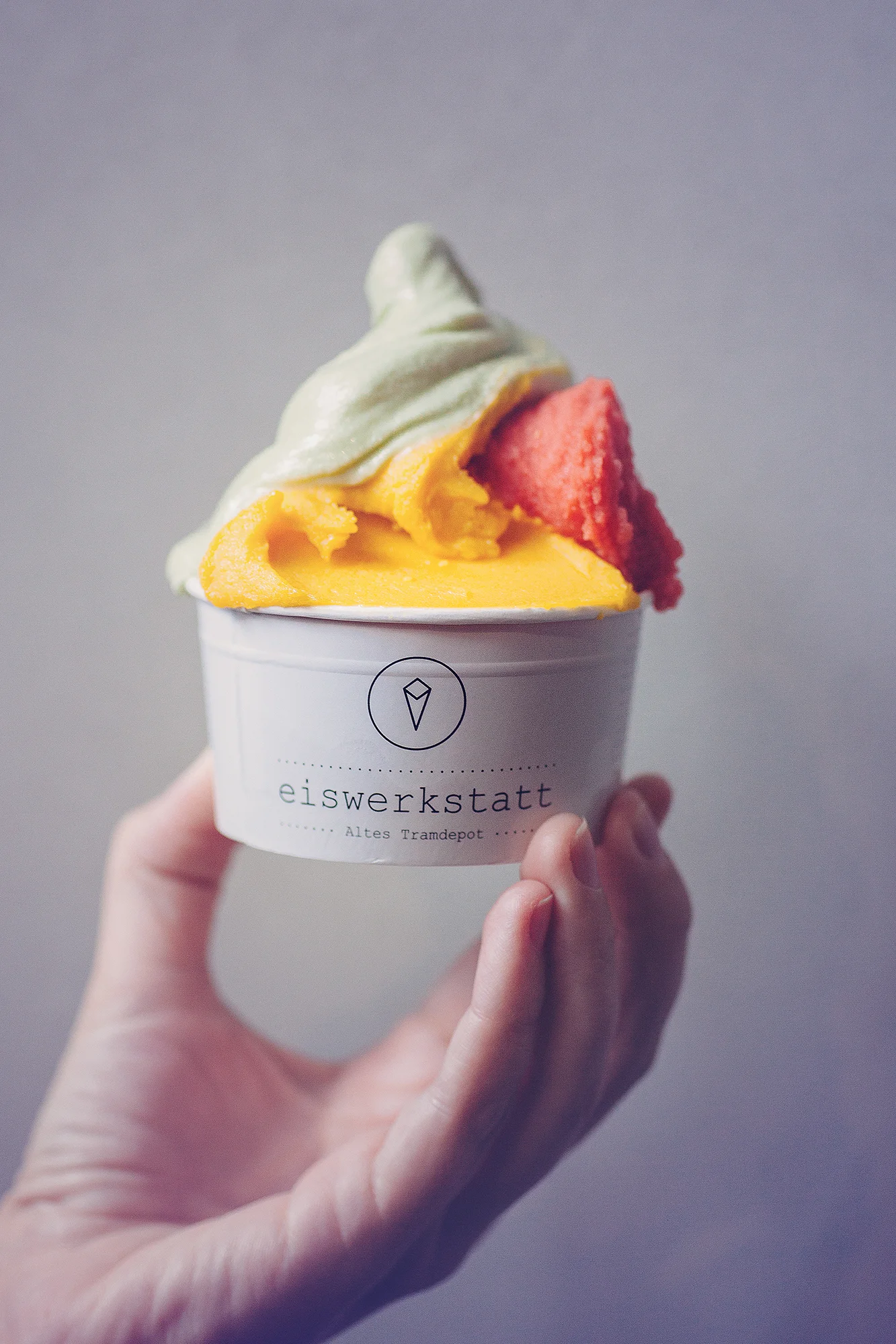  Eiswerkstatt Mai 2017 