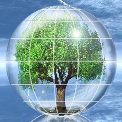 pic_tree-globe-400pxl.jpg