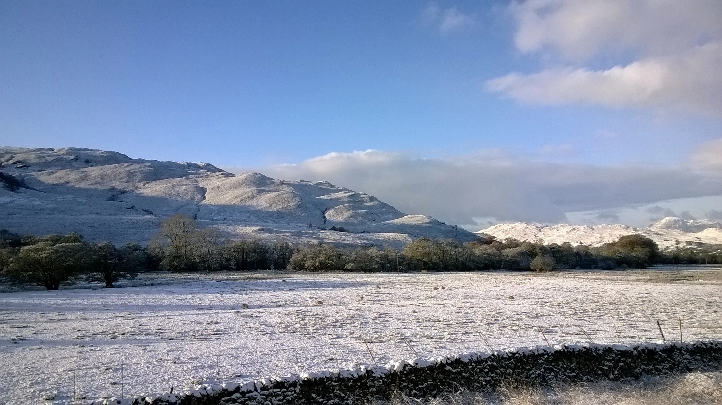 WP_20131119_006.jpg